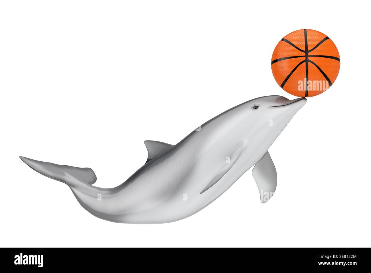 Tursiops truncatus Ocean ou Sea Bottlenose Dolphin avec ballon de basket-ball  sur fond blanc. Rendu 3d Photo Stock - Alamy