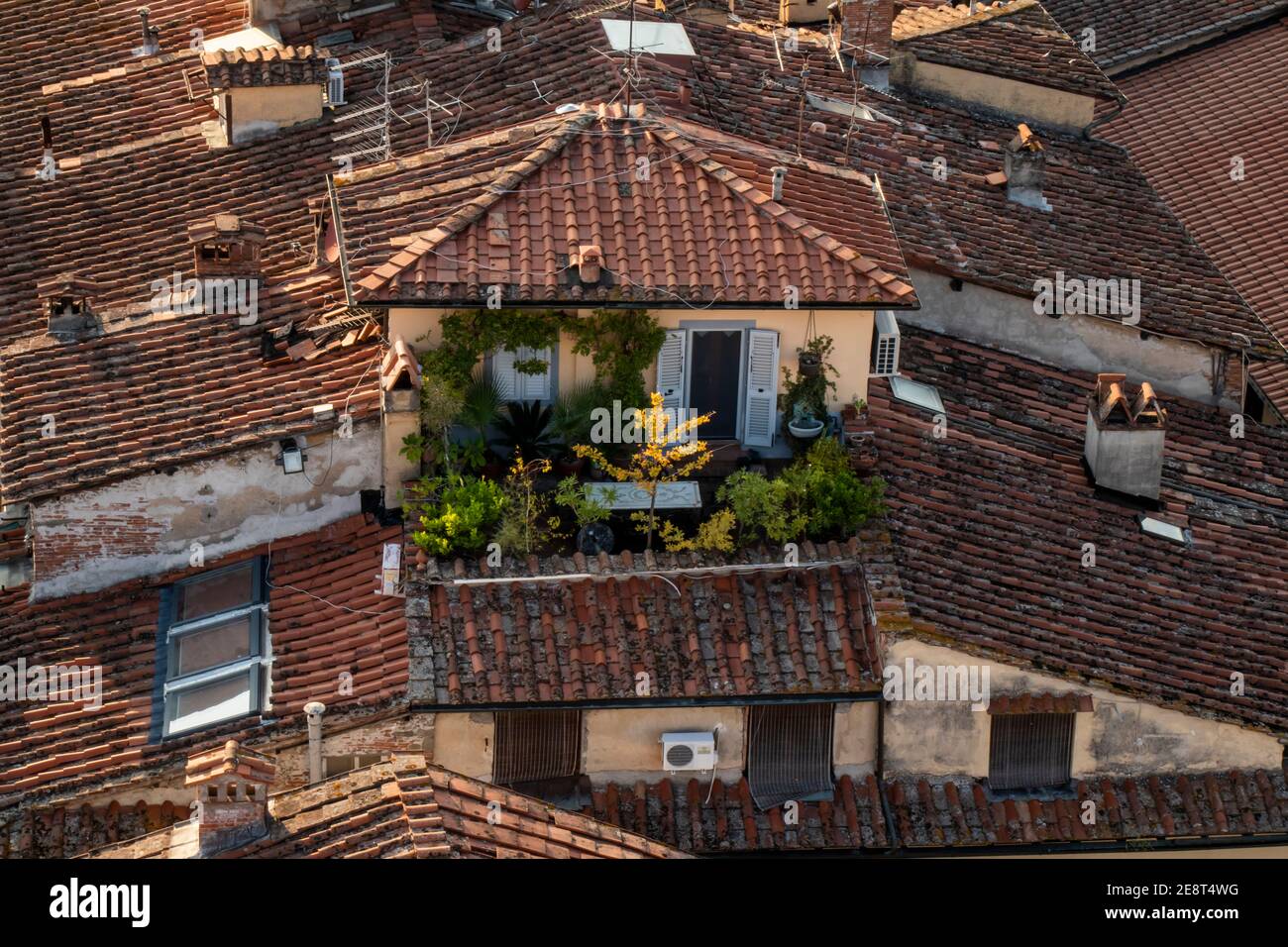 Toits Rouges Italie Vue depuis le sommet du torre guinigi Banque de photographies et d ...