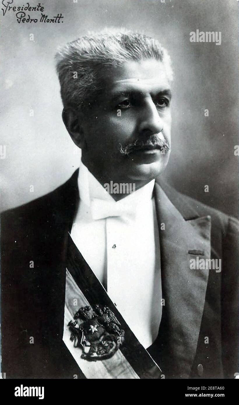 Pedro Montt (récolte). Banque D'Images