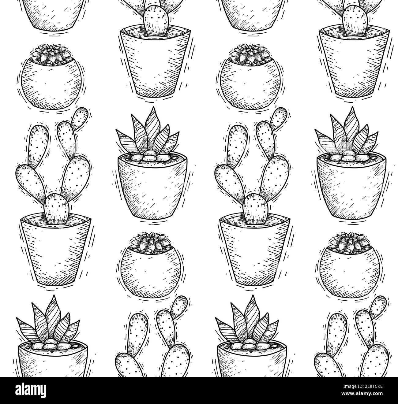 Texture d'esquisse sans couture avec cactus faits maison et succulents dans des pots avec des hachures dans une rangée. Décorations pour l'intérieur. Motif de contour vectoriel pour wa Illustration de Vecteur
