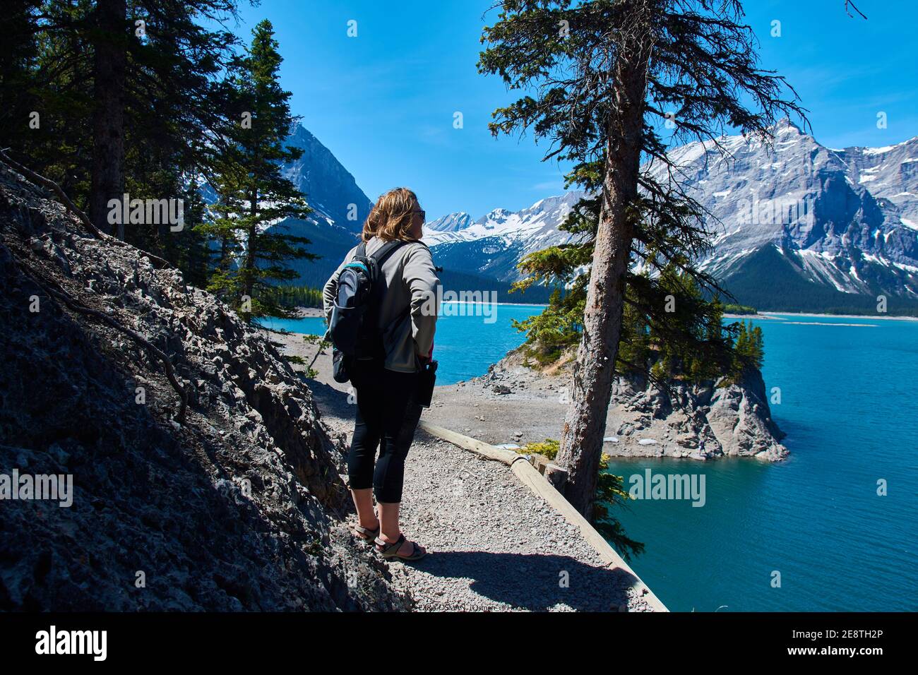 Parc provincial Peter Lougheed (Alberta) 40, Kananaskis (Alberta) jeudi 12 h 00 Nuageux Banque D'Images