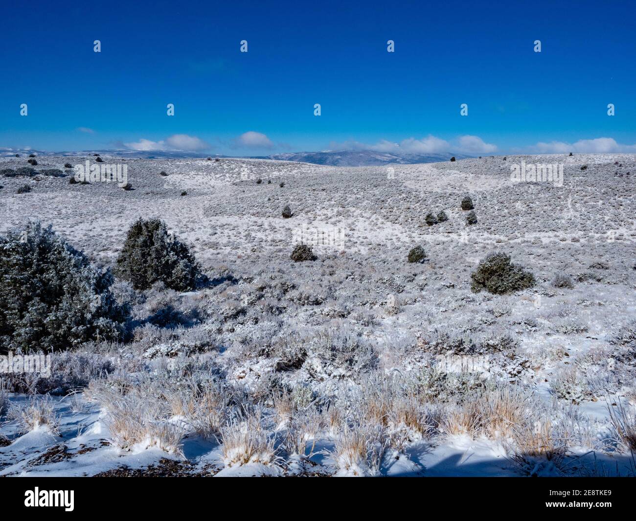 Fishlake National Forest, Richfield, Utah en hiver, fin de l'automne par temps clair et froid avec de la neige Banque D'Images