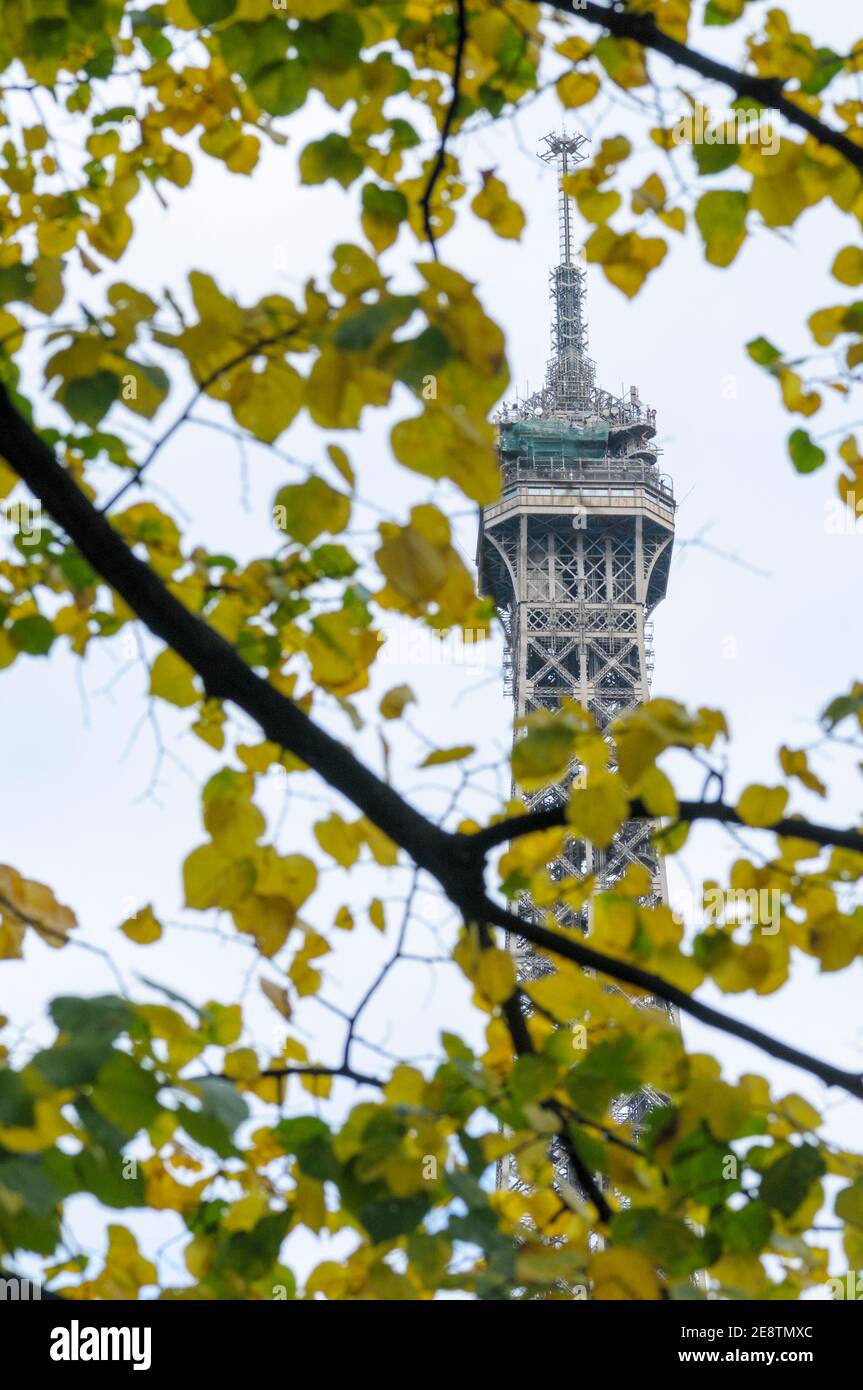 La Tour Eiffel, Paris, France, vue à travers les arbres au début de l'automne. Banque D'Images