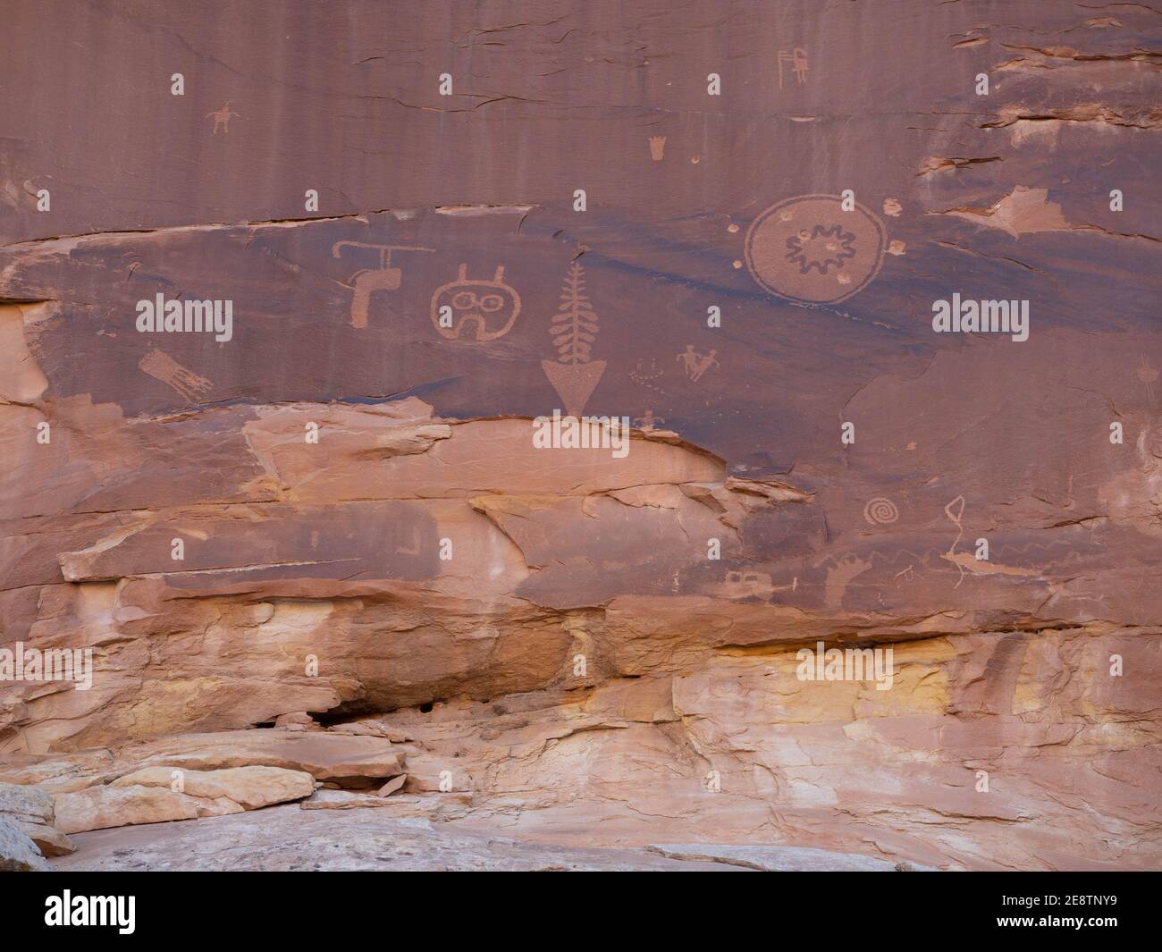 Marchez jusqu'aux pétroglyphes des panneaux Wolfman à Combs Ridge, Butler Wash Road, Bears Ears National Monument près de Bluff, Utah, États-Unis Banque D'Images