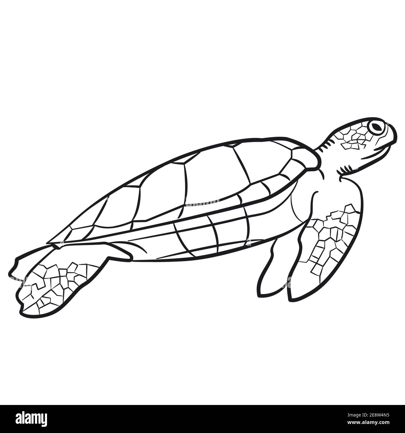 Logo de tortue noir et blanc Banque d'images détourées - Alamy