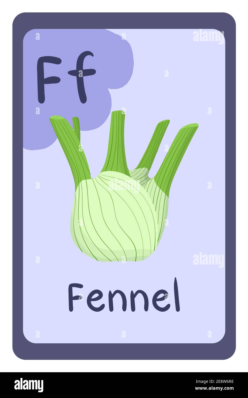 Carte flash d'éducation à l'alphabet, lettre F - fenouil. Carte d'éducation abc colorée. École, éducation, étude, concept d'apprentissage. Illustration de Vecteur