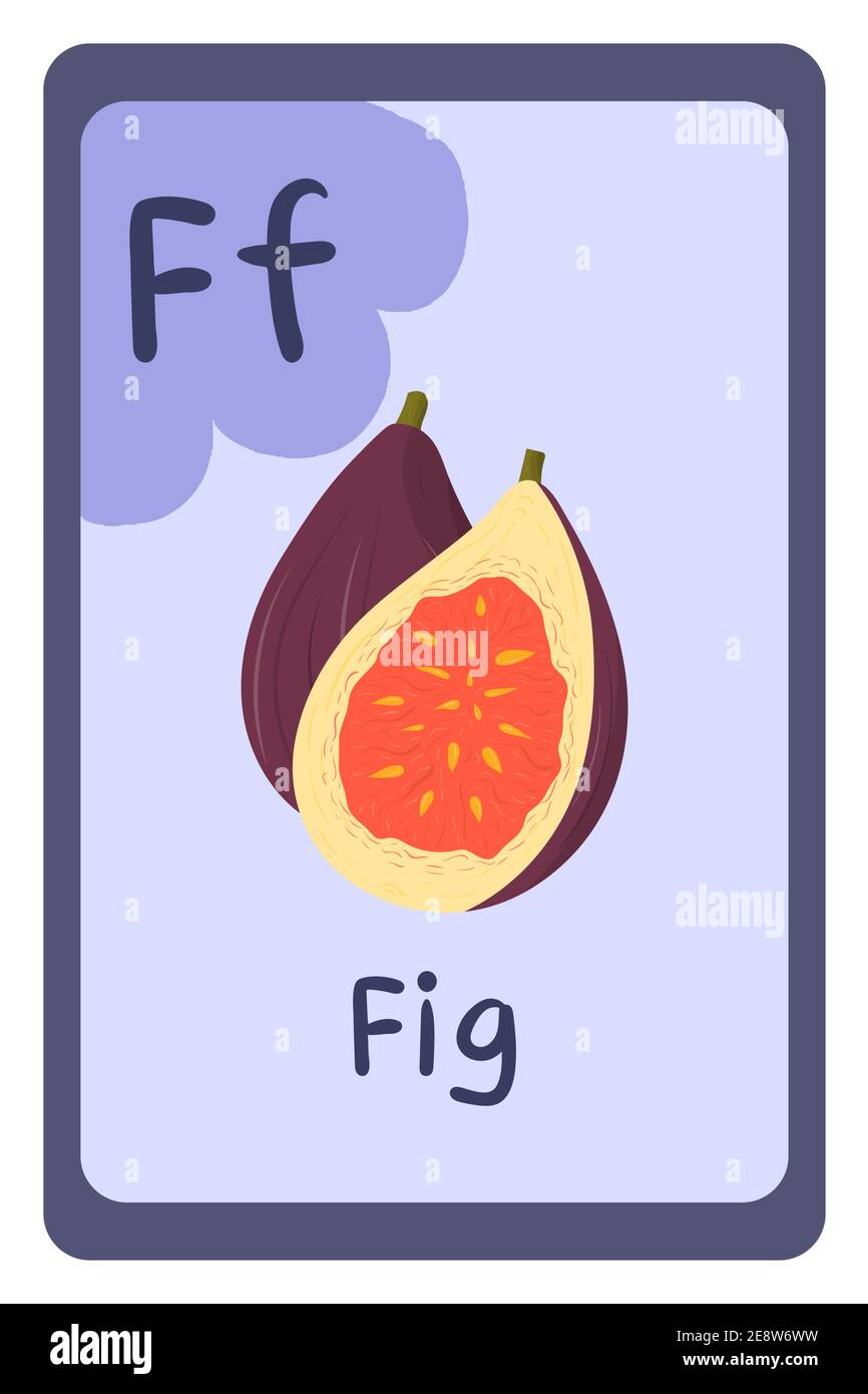 Carte flash d'éducation à l'alphabet, lettre F - fig. Carte d'éducation abc colorée. École, éducation, étude, concept d'apprentissage. Illustration de Vecteur