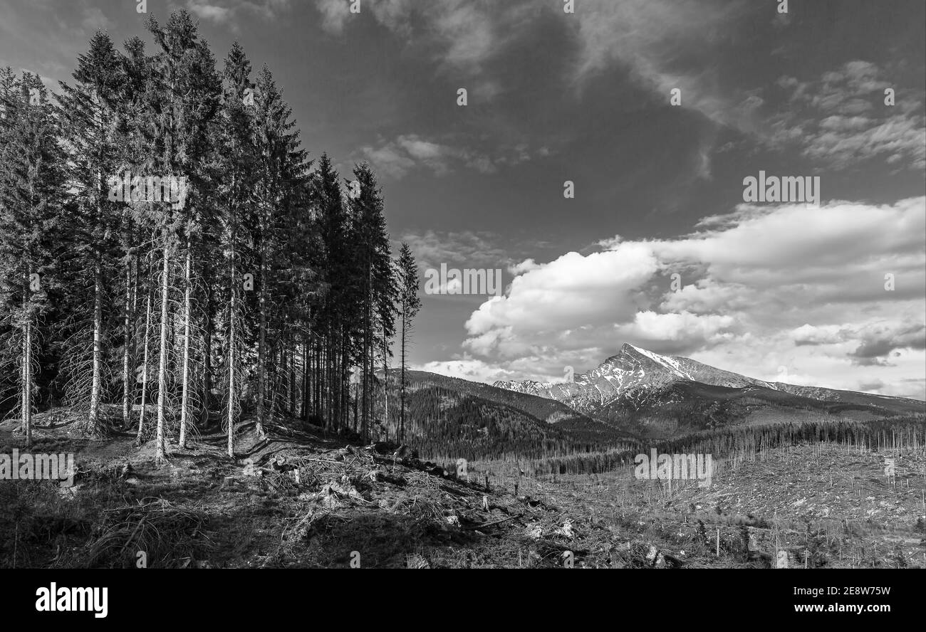 Belle vue sur le lever du soleil dans le parc national des montagnes des Hautes Tatras et Strbske pleso (lac Strbske) beau lac de montagne en Slovaquie Banque D'Images