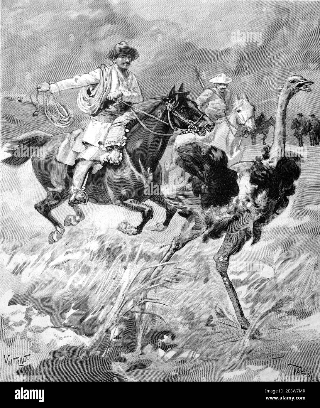 Gauchos ou cow-boys d'Amérique du Sud chassé Rheas sur l'Amérique du Sud Pampas 1900 Vintage Illustration ou gravure Banque D'Images