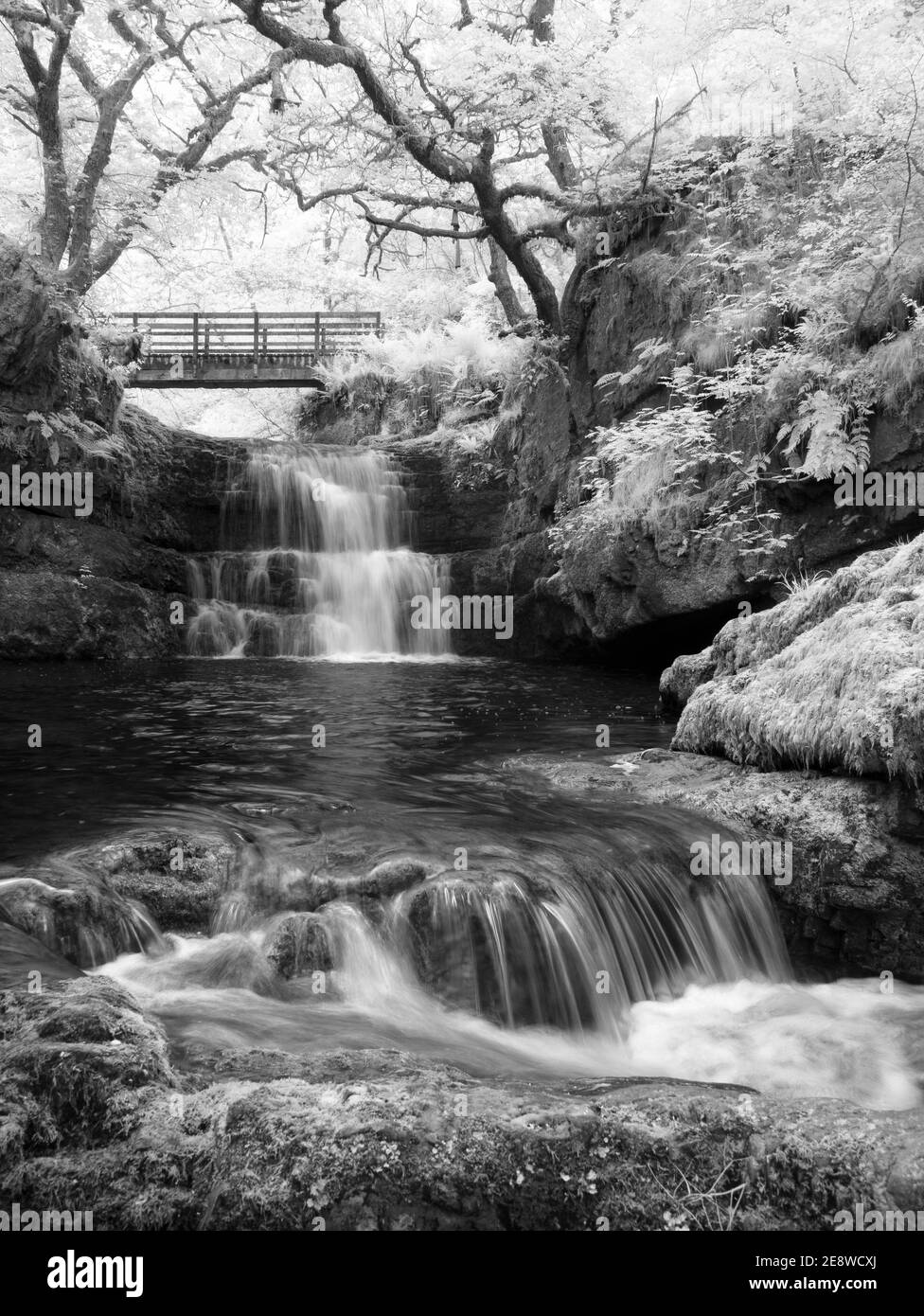 Les chutes de Sgydau Sychryd dans le parc national de Bannau Brycheiniog (Brecon Beacons), au sud du pays de Galles. Banque D'Images