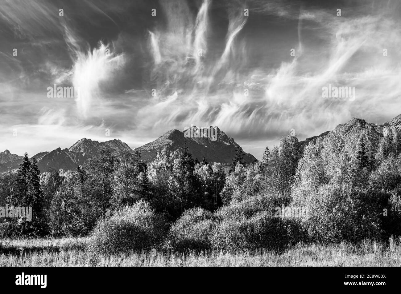 vesoke tatry, hautes tatras, slovaquie, aventure, agriculture, agronomie, incroyable, attraction, fond, belle, coloré, pays, destination, dra Banque D'Images