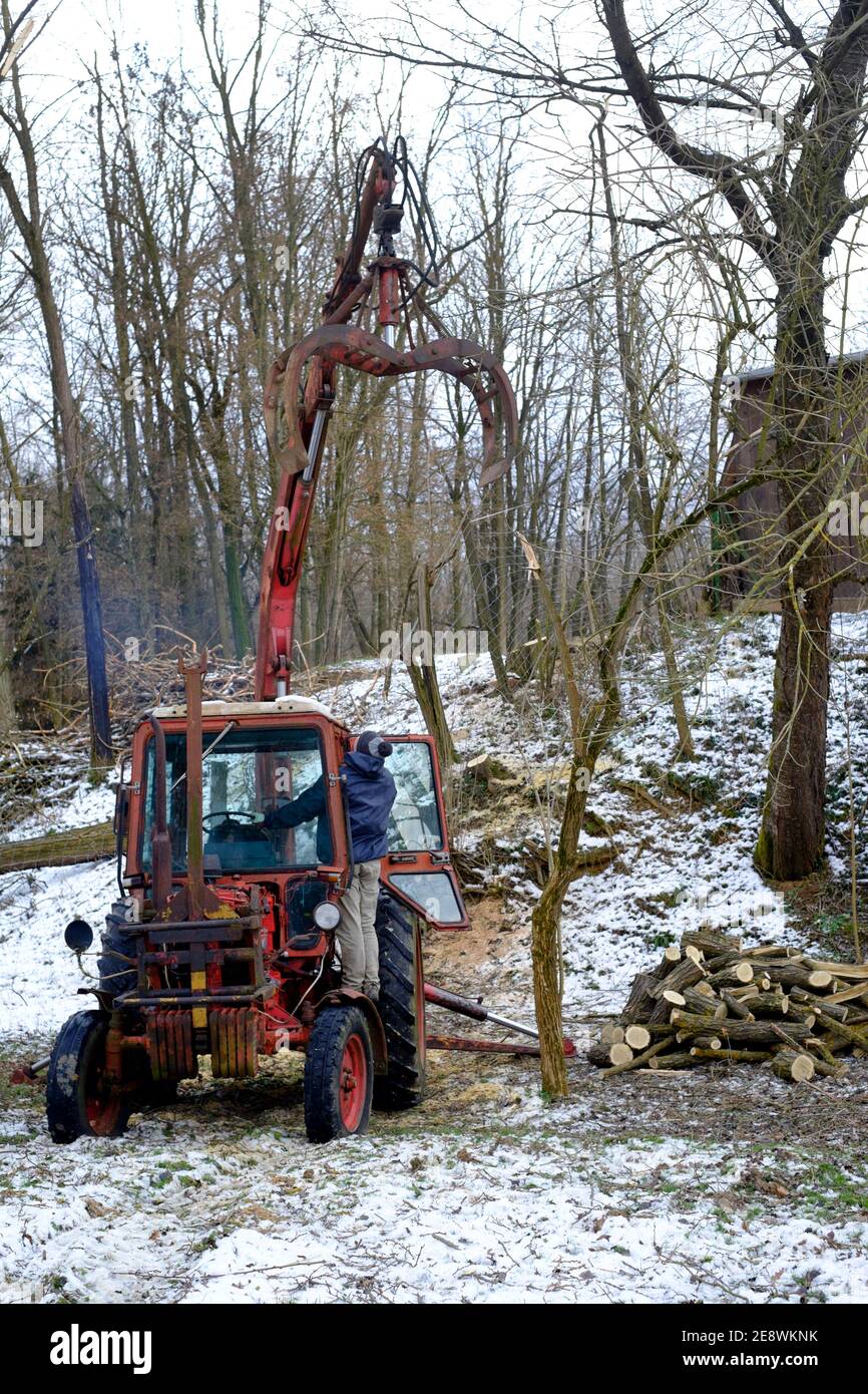 vintage belarus mtz 80 tracteur avec bras de grue fabriqué par un tracteur de minsk est utilisé pour défriler les zala des arbres abattus comté de hongrie Banque D'Images