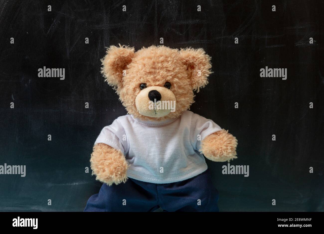 Ours en peluche mignon, école vierge noir fond de tableau noir. Apprentissage enfants, concept de classe enfants. Banque D'Images
