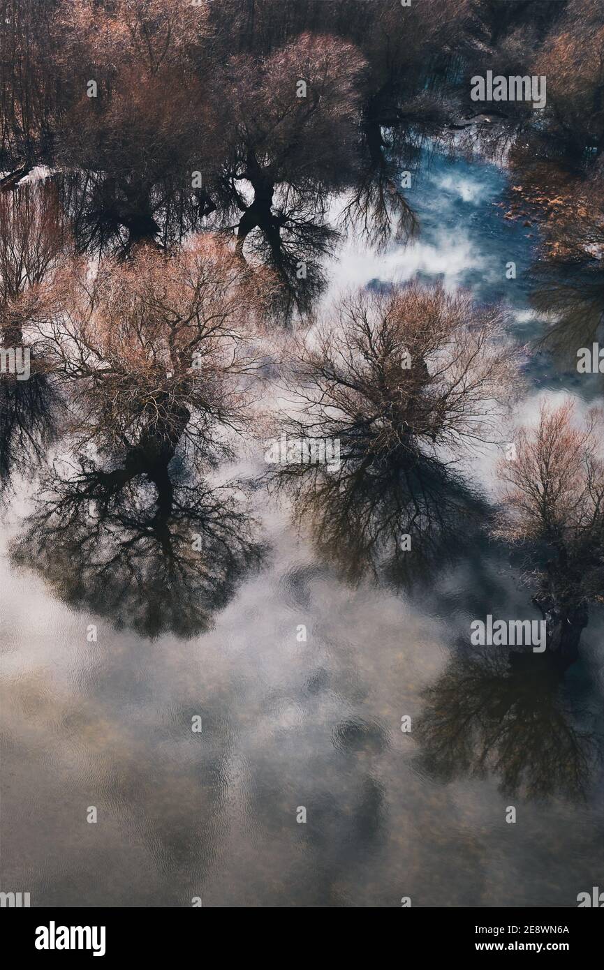 Vue aérienne de la plaine inondable des bois depuis le point de vue de drone, après-midi d'hiver ensoleillé Banque D'Images
