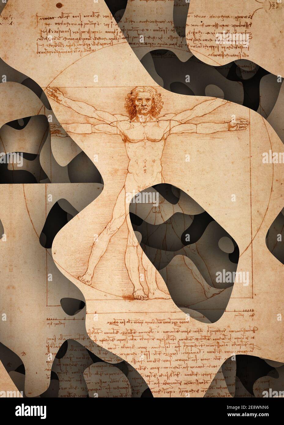 Leonardo da Vinci Vitruvian homme modifié, appropriation art Banque D'Images