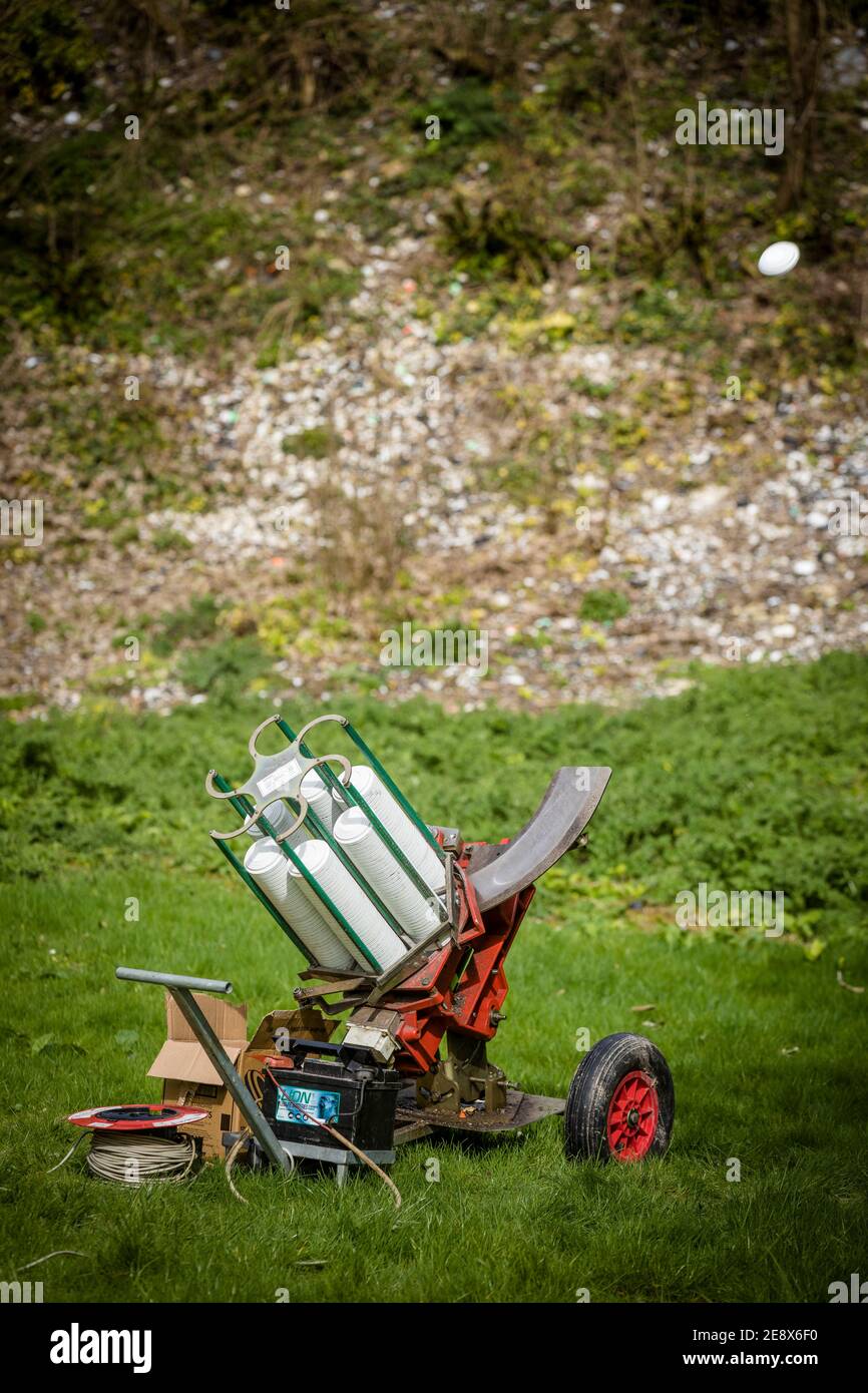 Un pigeon d'argile en action sur une pousse. Date de la photo : vendredi 17 mars 2017. Banque D'Images