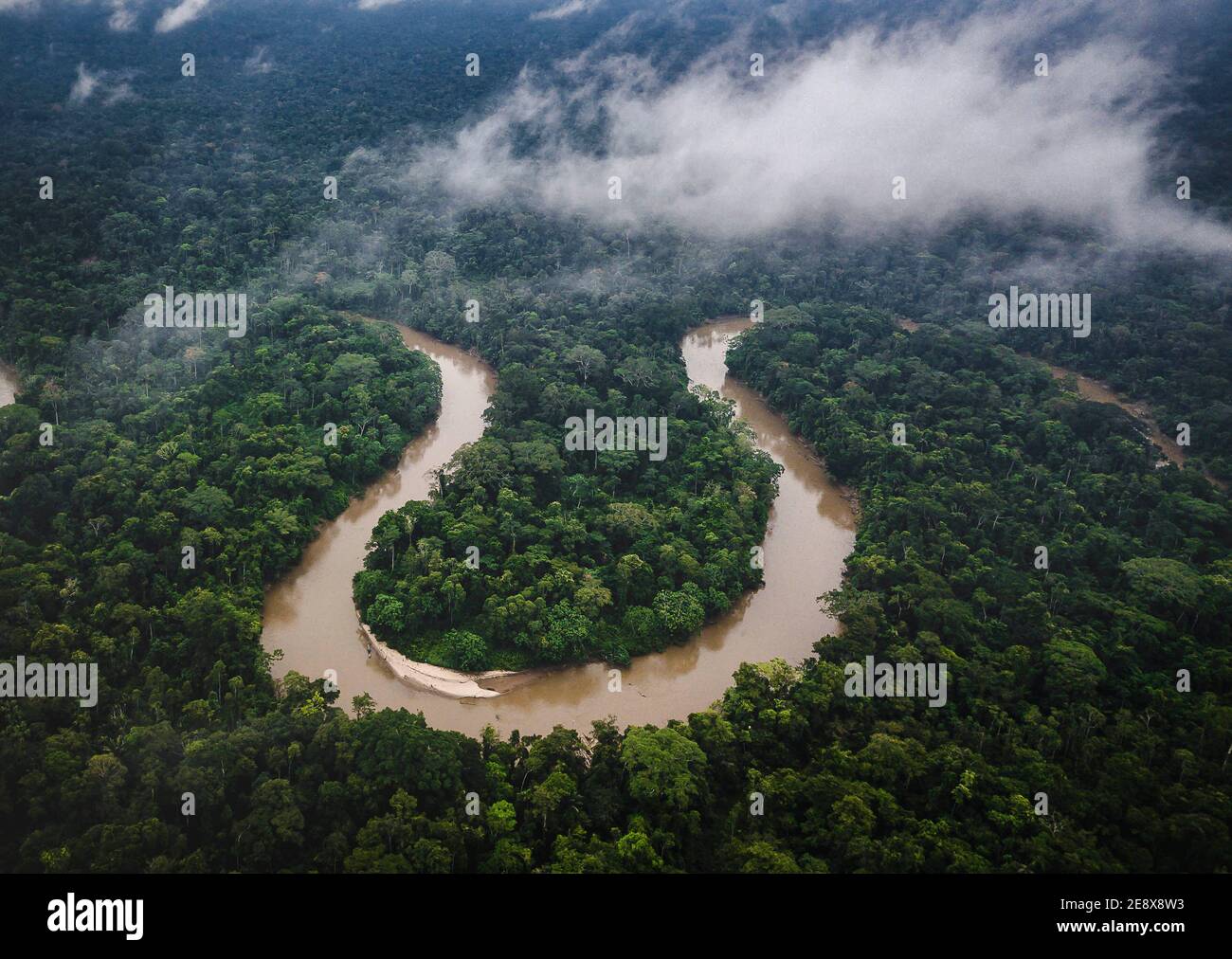 Amazone Rainforest, Pastaza, Equateur Banque D'Images