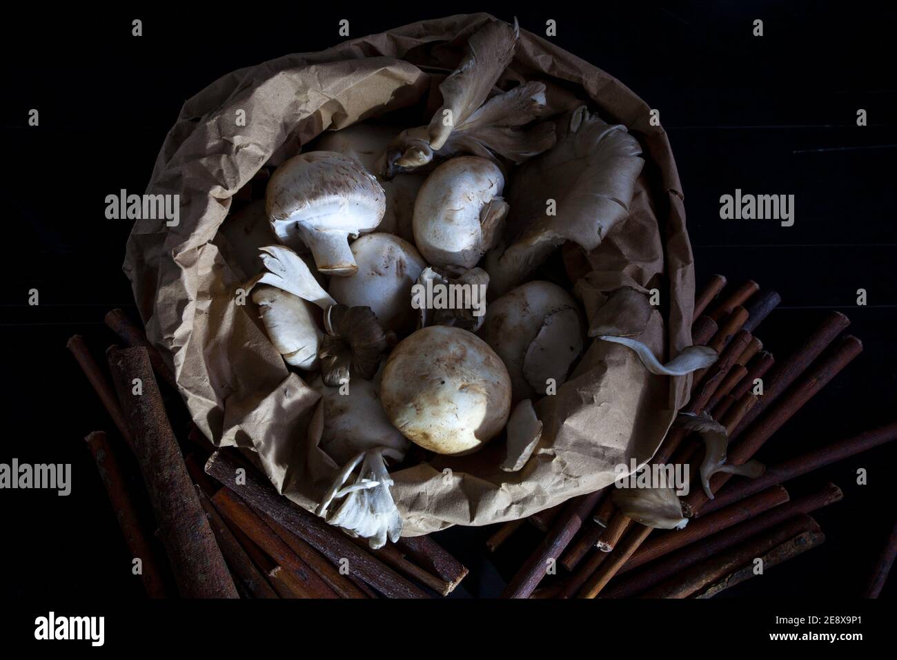 Champignons dans un sac en papier brun avec brindilles et fond sombre Banque D'Images
