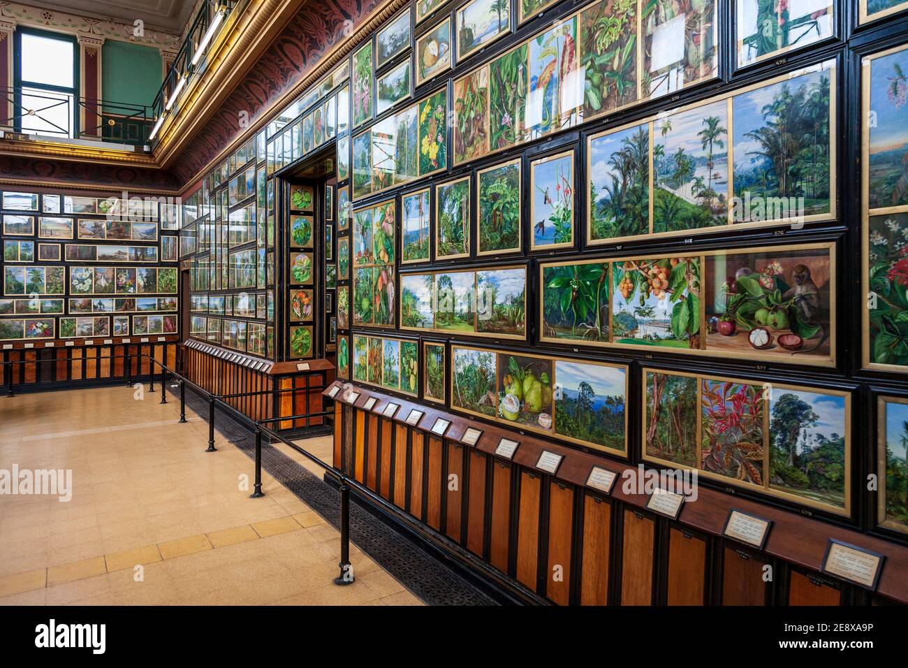 La galerie Marianne North à Kew Gardens, Londres Banque D'Images
