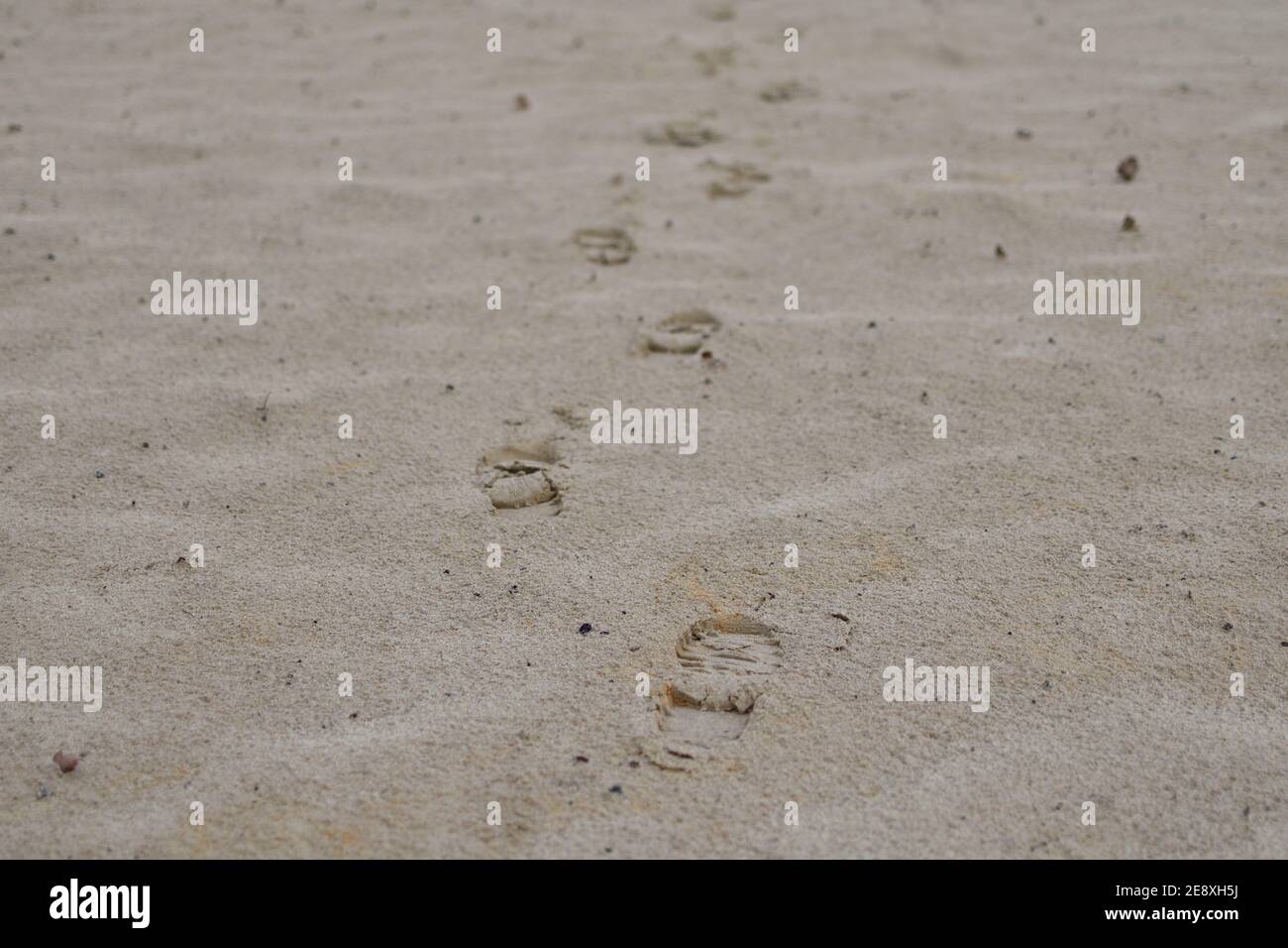 Des empreintes de pas seules dans les dunes de sable qui disparaissent au loin près de Nuland, pays-Bas Banque D'Images