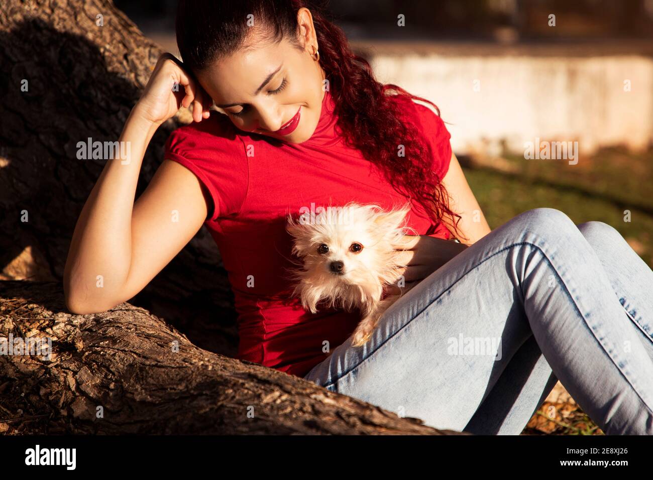 Jeune fille vêtue de rouge avec son petit chien, versée en rouge, dentée sur le tronc d'un arbre dans un parc naturel. Fille qui aime son chien. Banque D'Images