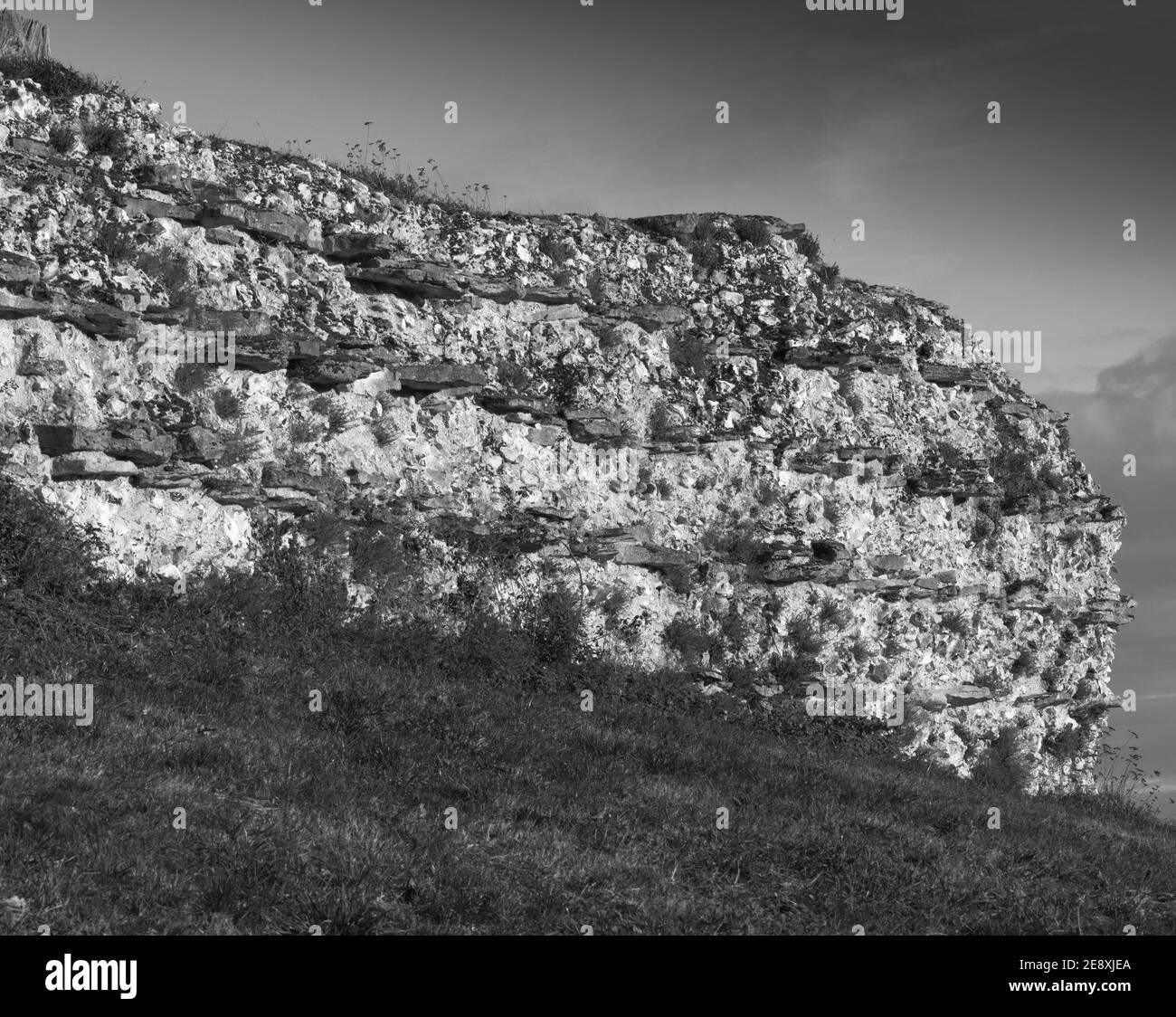 Mur sud de la ville romaine de Calleva Atrebatum Banque D'Images