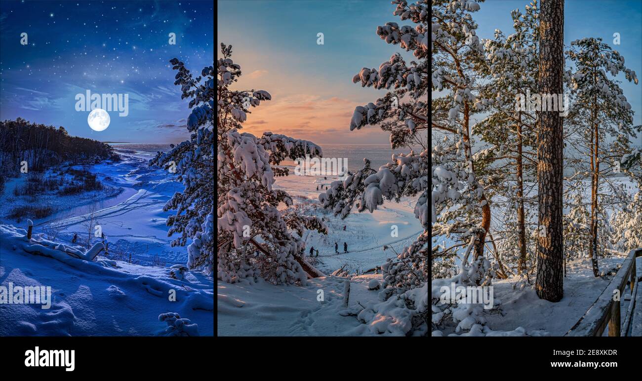 Collage de paysages d'hiver à différentes heures de la journée : nuit, coucher de soleil, jour. Soleil jour d'hiver, coucher de soleil et nuit d'hiver vue avec couvert de neige Banque D'Images