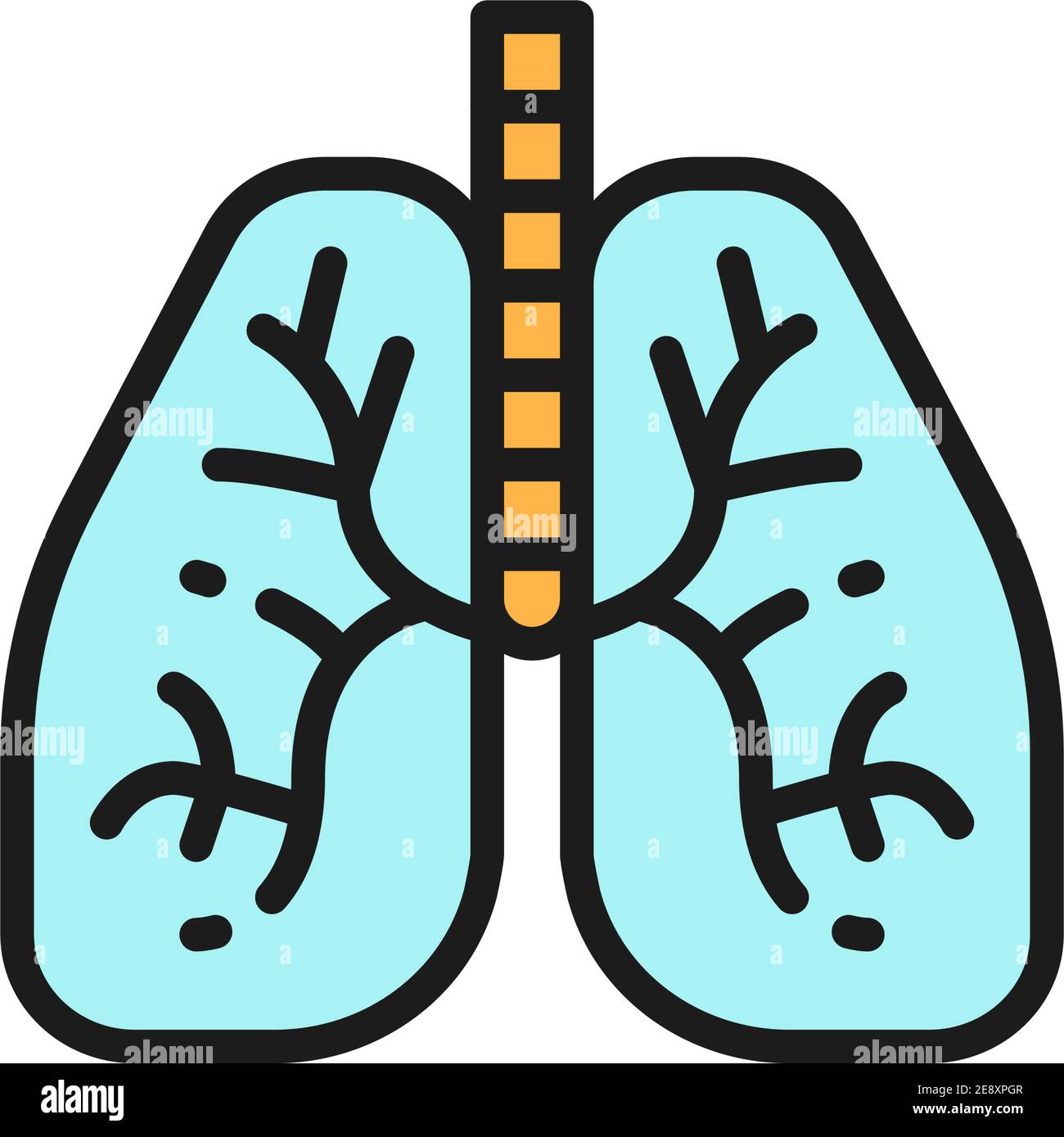 Poumons, icône de ligne de couleur plate d'organe humain. Isolé sur fond blanc Illustration de Vecteur