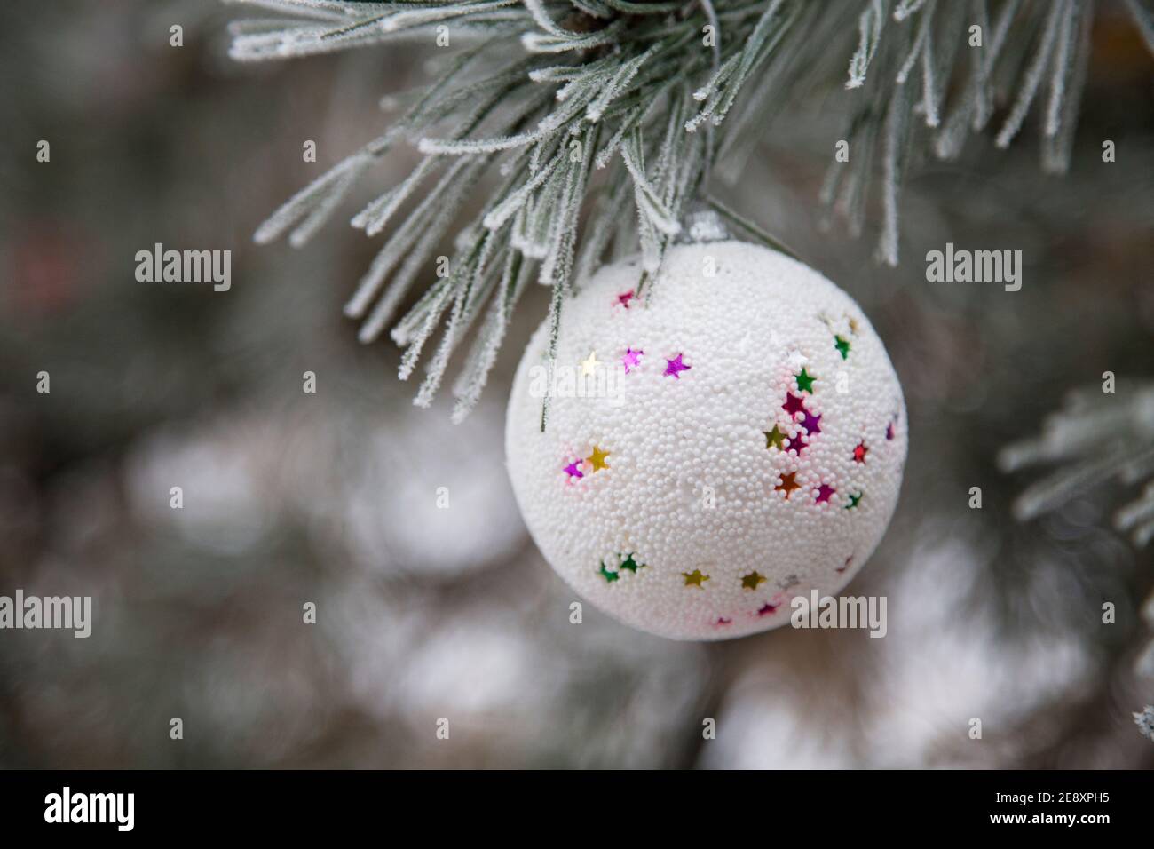Boule blanche de Noël sur une branche de pin. Gros plan. Banque D'Images
