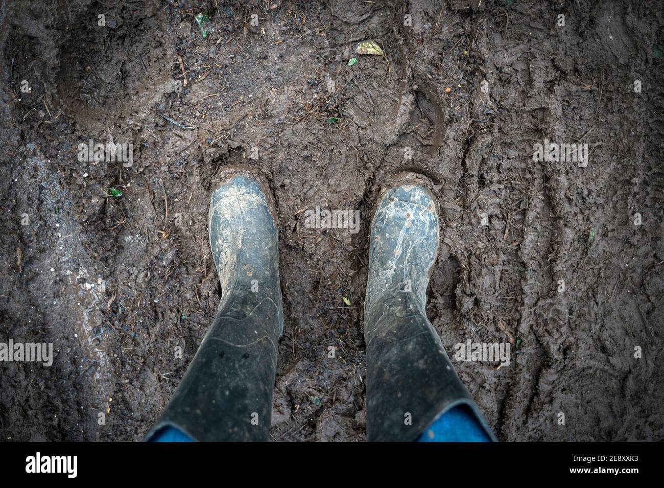 paire de bottes muddy wellington debout dans la boue. Banque D'Images paire de bottes muddy wellington debout dans la boue. Banque D'Images