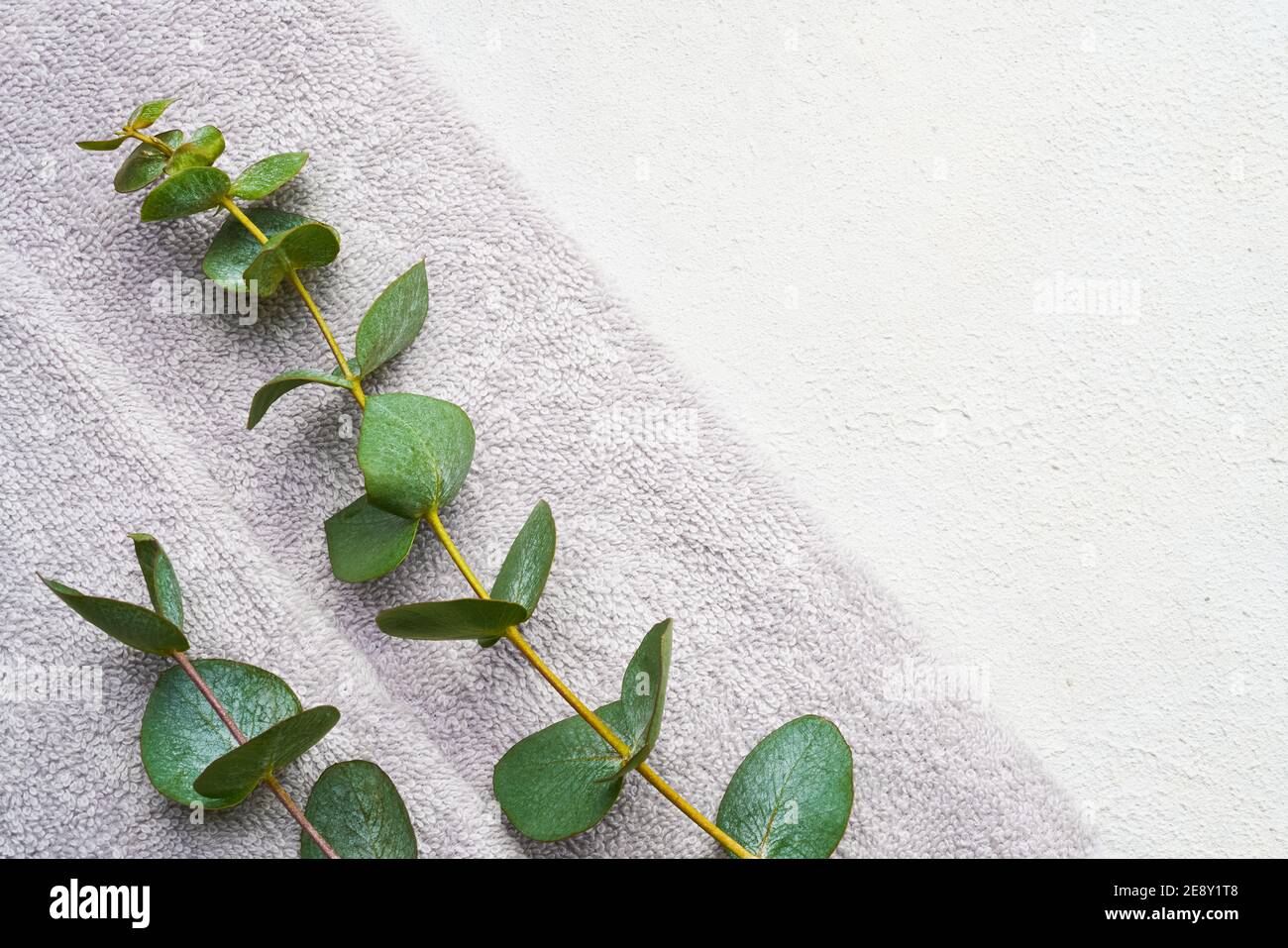 Serviette grise roulée et branche d'eucalyptus vert sur fond de béton blanc. Style scandinave minimaliste. Hygiène, bien-être, soins du corps con Banque D'Images