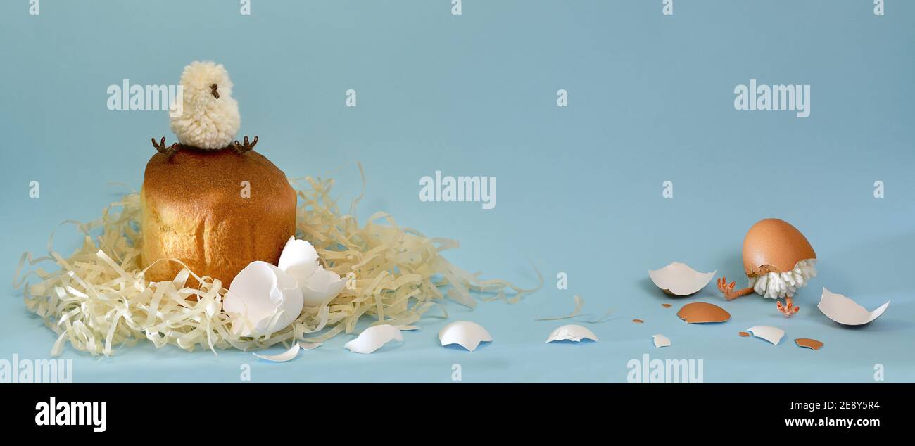 Bannière naissance de poulets, naissance d'oeufs. Dans le nid sur la pâtisserie, le gâteau de Pâques, se trouve sur un poussin, l'autre encore dans la moitié de la coquille. Sur fond bleu clair. Banque D'Images