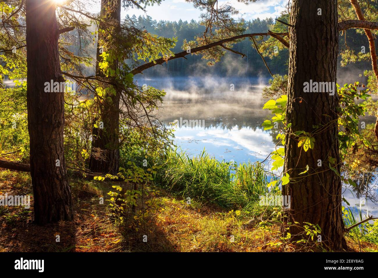 Automne au lac Masurien, Pologne Banque D'Images