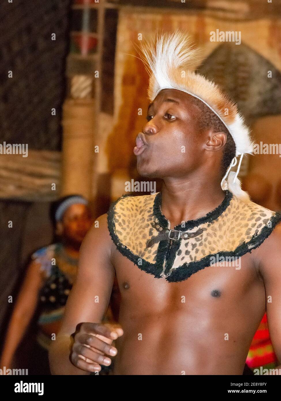 « Lips Puring » interprète de la troupe de zulu pendant une danse zulu Au village culturel de Shakaland Zulu à Eshowe, en Australie méridionale Banque D'Images