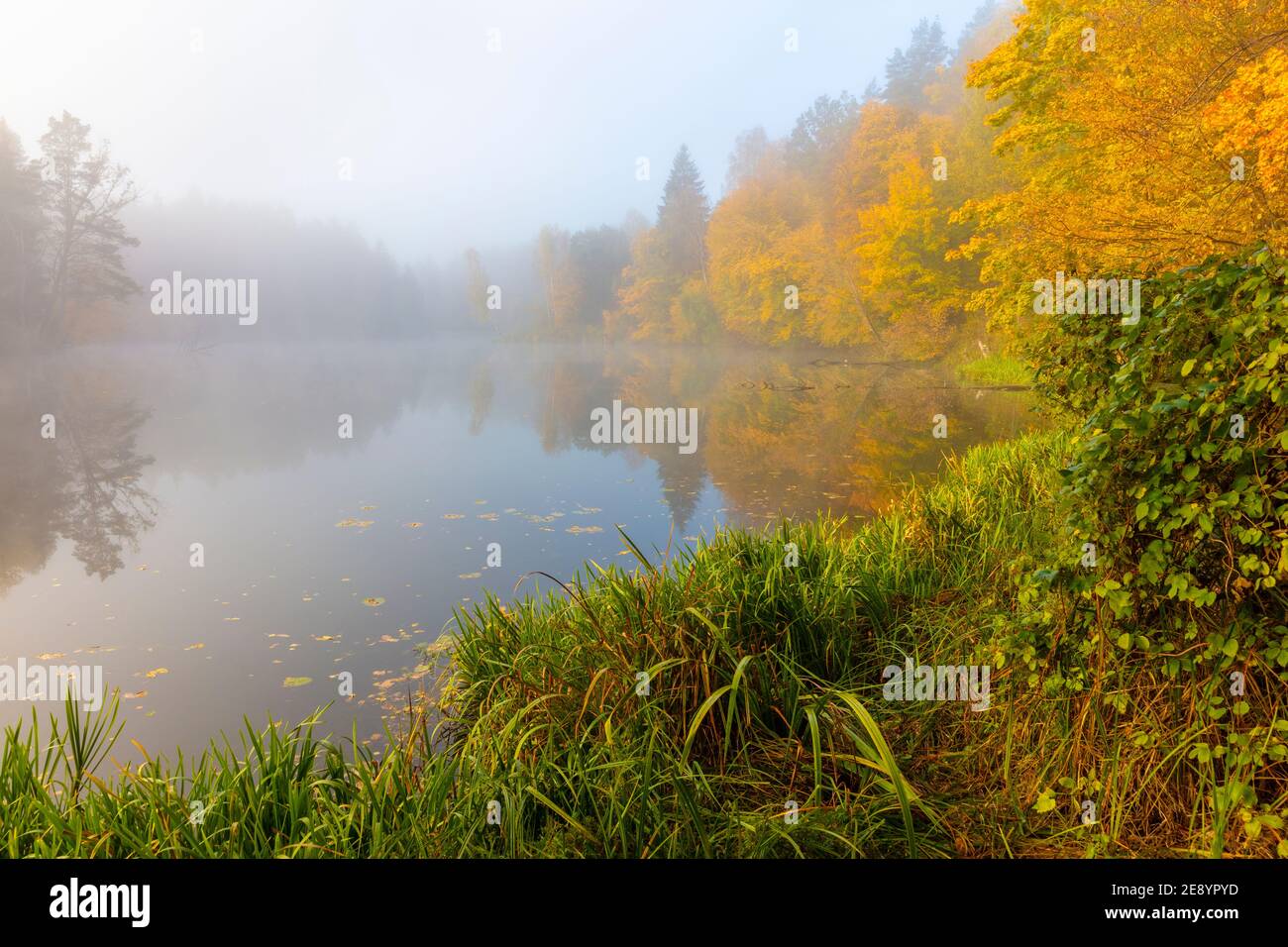 Automne au lac Masurien, Pologne Banque D'Images