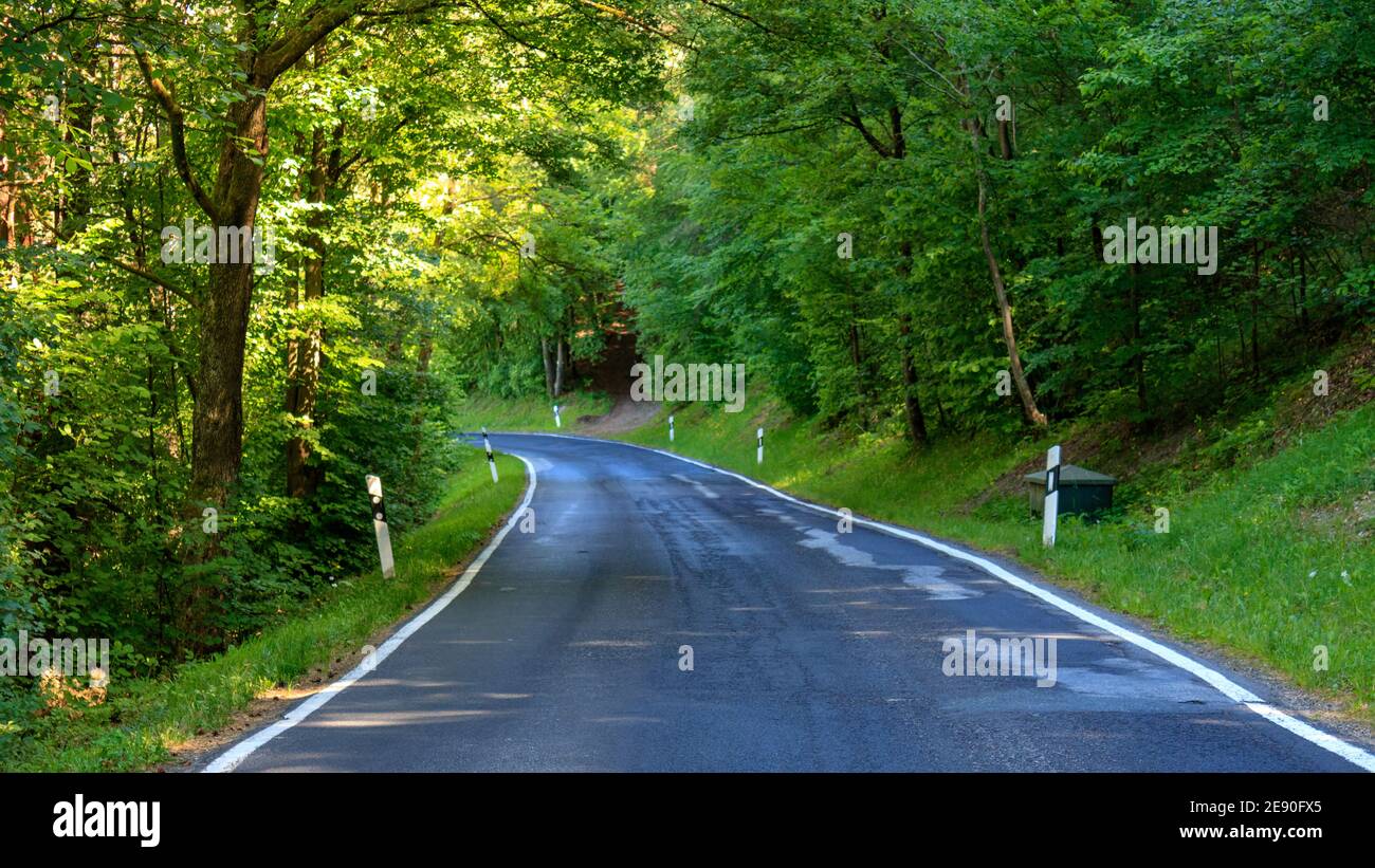 Vide curviligne d'asphalte dans la forêt verte de Werbach, Allemagne. Vue panoramique sur une route vide par temps ensoleillé. Banque D'Images