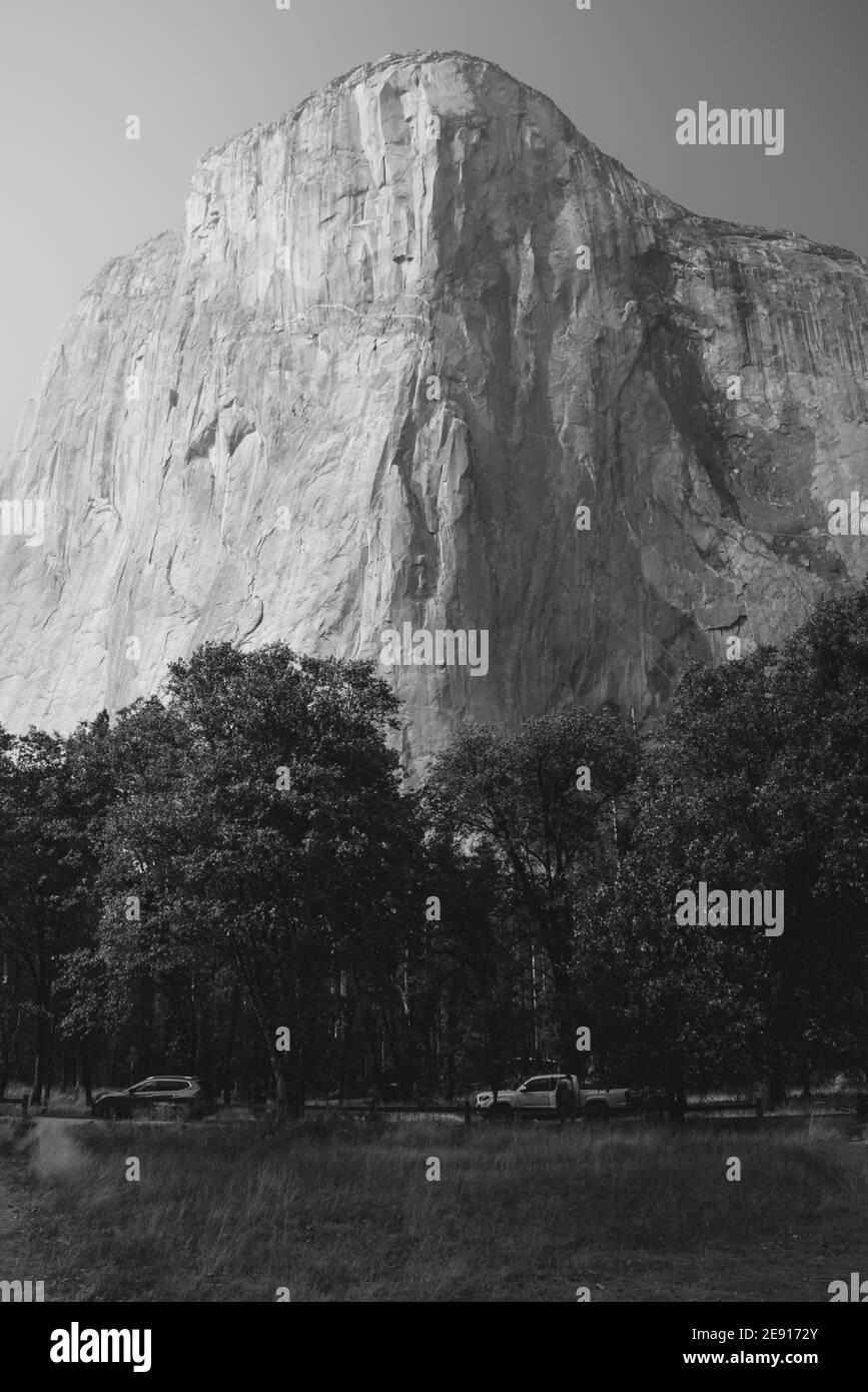 El Capitan vu depuis le fond de la vallée de Yosemite. Photo verticale en noir et blanc Banque D'Images