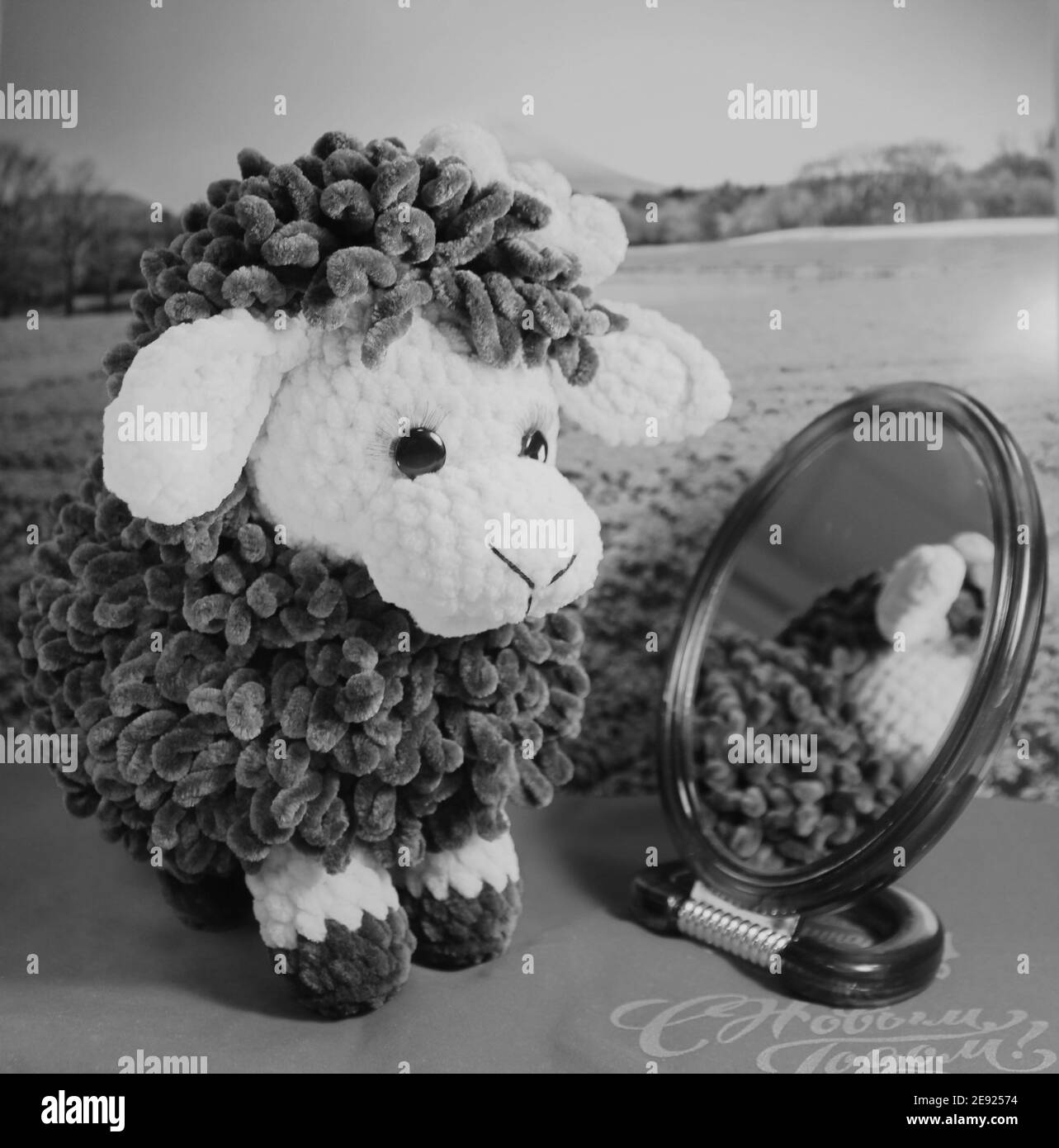 Jouet brebis devant le miroir, traduction « Happy Year » Banque D'Images