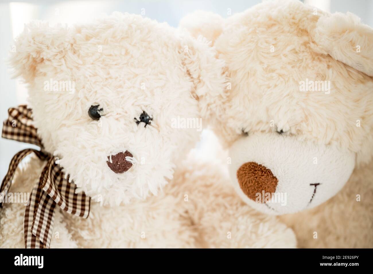 Vue rapprochée de deux ours en peluche Banque D'Images