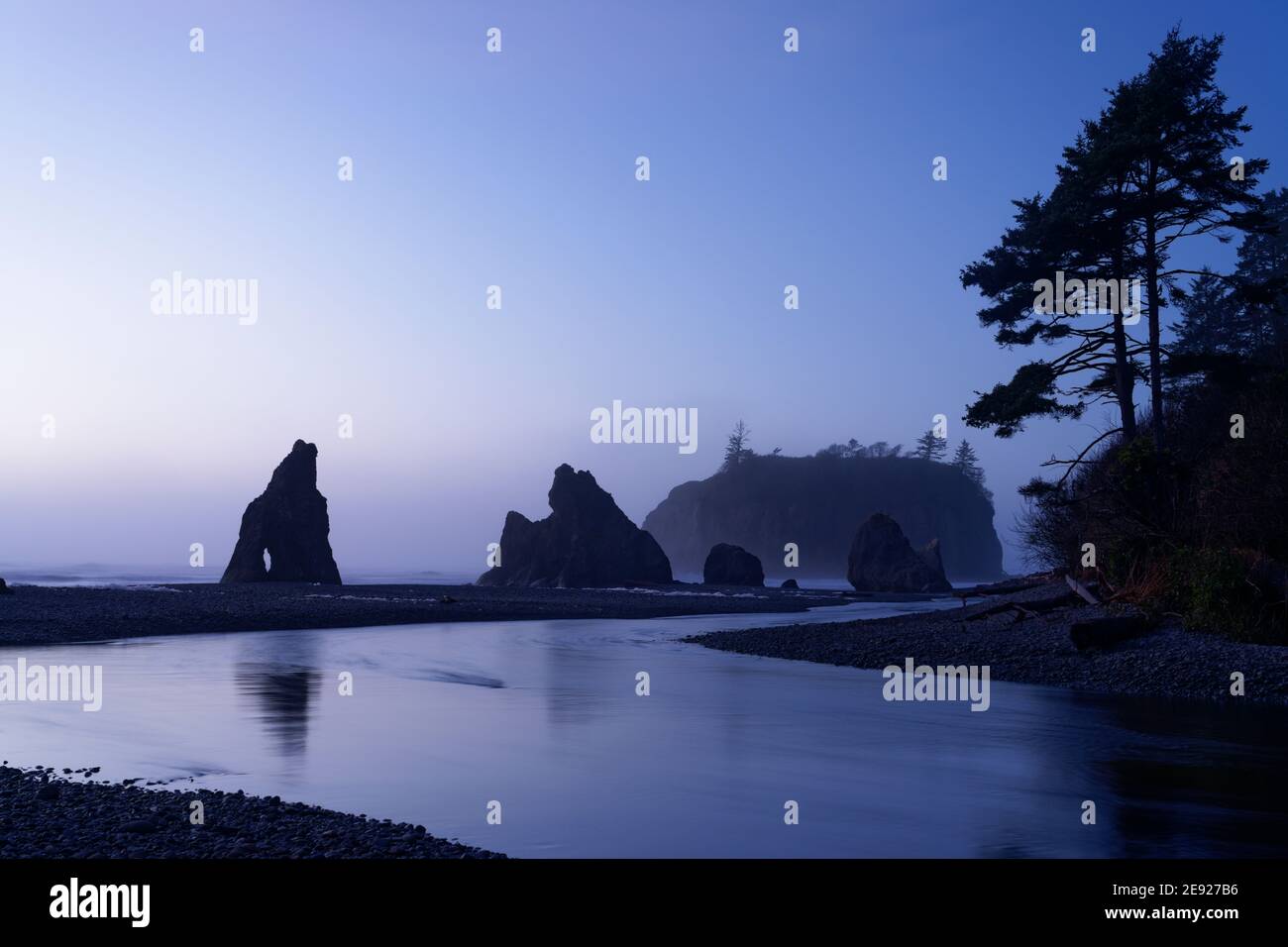 Piles de mer reflétées à Cedar Creek au crépuscule, Ruby Beach, parc national olympique, comté de Jefferson, Washington, États-Unis Banque D'Images