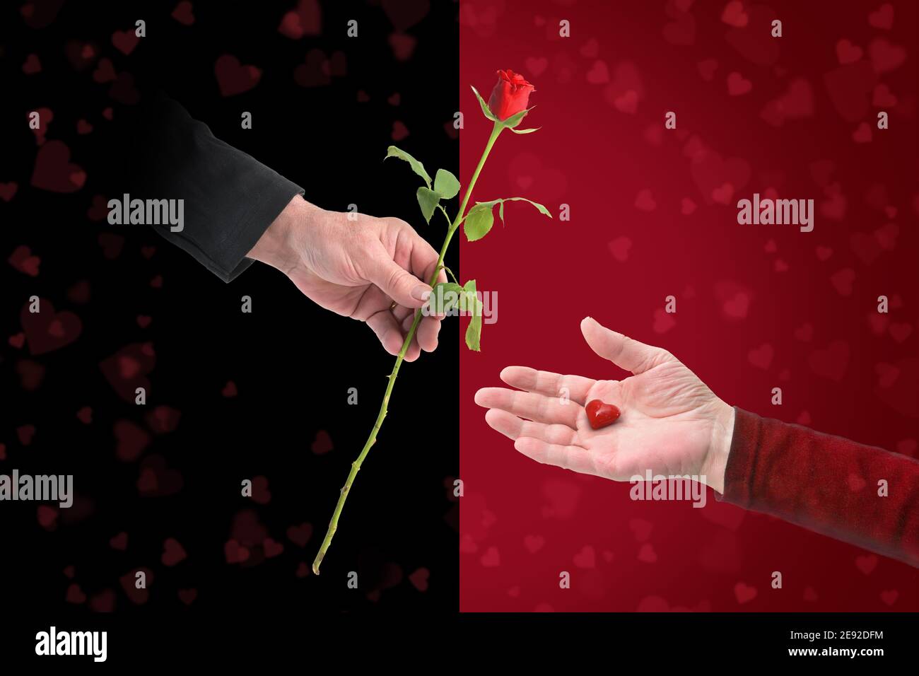 Mains de l'homme et de la femme avec une rose et un coeur de verre sur un arrière-plan de moitié en rouge et noir, concept d'amour pour les valentines ou le jour de mariage, co Banque D'Images