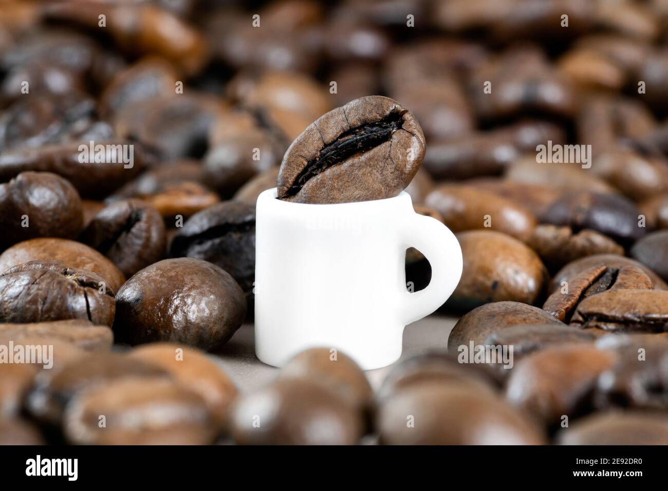 Tasse de café blanc miniature avec un énorme grain de café entouré de grains torréfiés épars. Gros plan, mise au point sélective. Banque D'Images