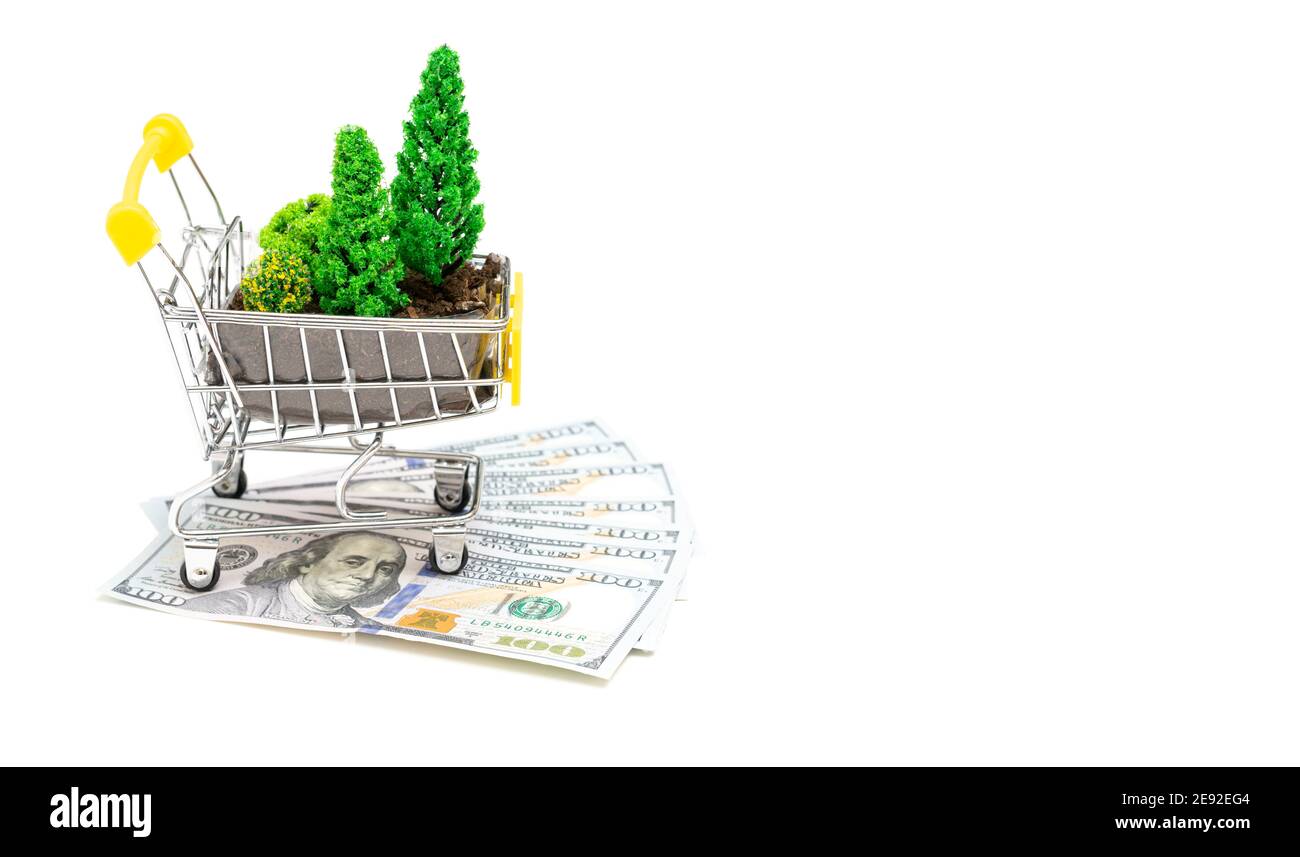Chariot de magasinage de jouets avec sol fertilisé et arbres en plastique de jouets debout sur des billets de dollars isolés sur blanc. Enrichissement et déforestati d'exploitation forestière illégaux Banque D'Images
