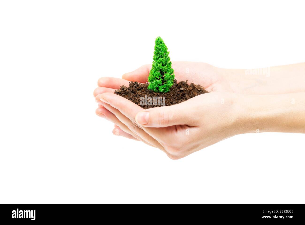 Les mains de femmes tenant le sol fertilisé avec un arbre en plastique jouet. Concept de protection et de protection des forêts. Banque D'Images