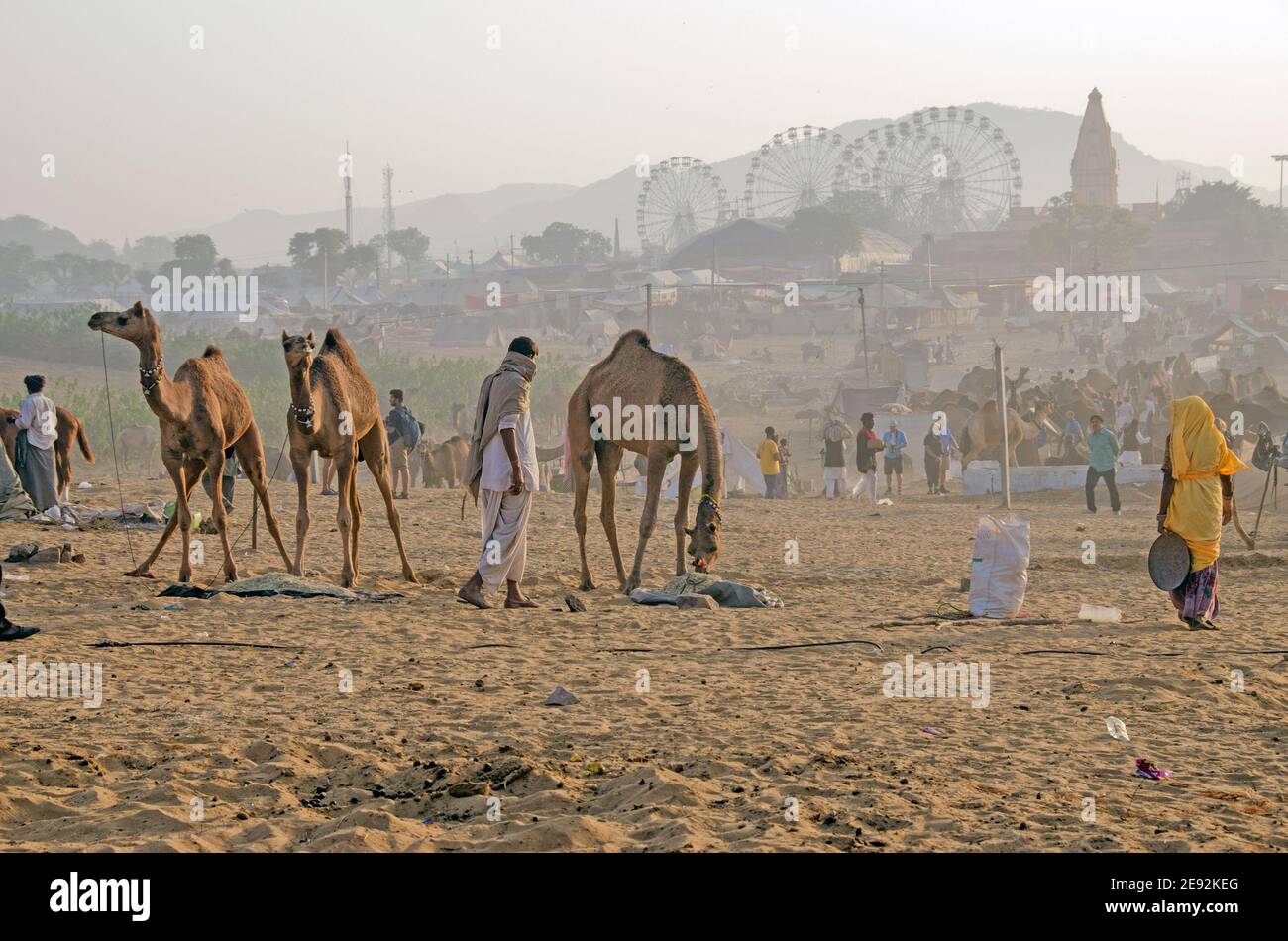 matin à pushkar mela ground rajasthan inde Banque D'Images