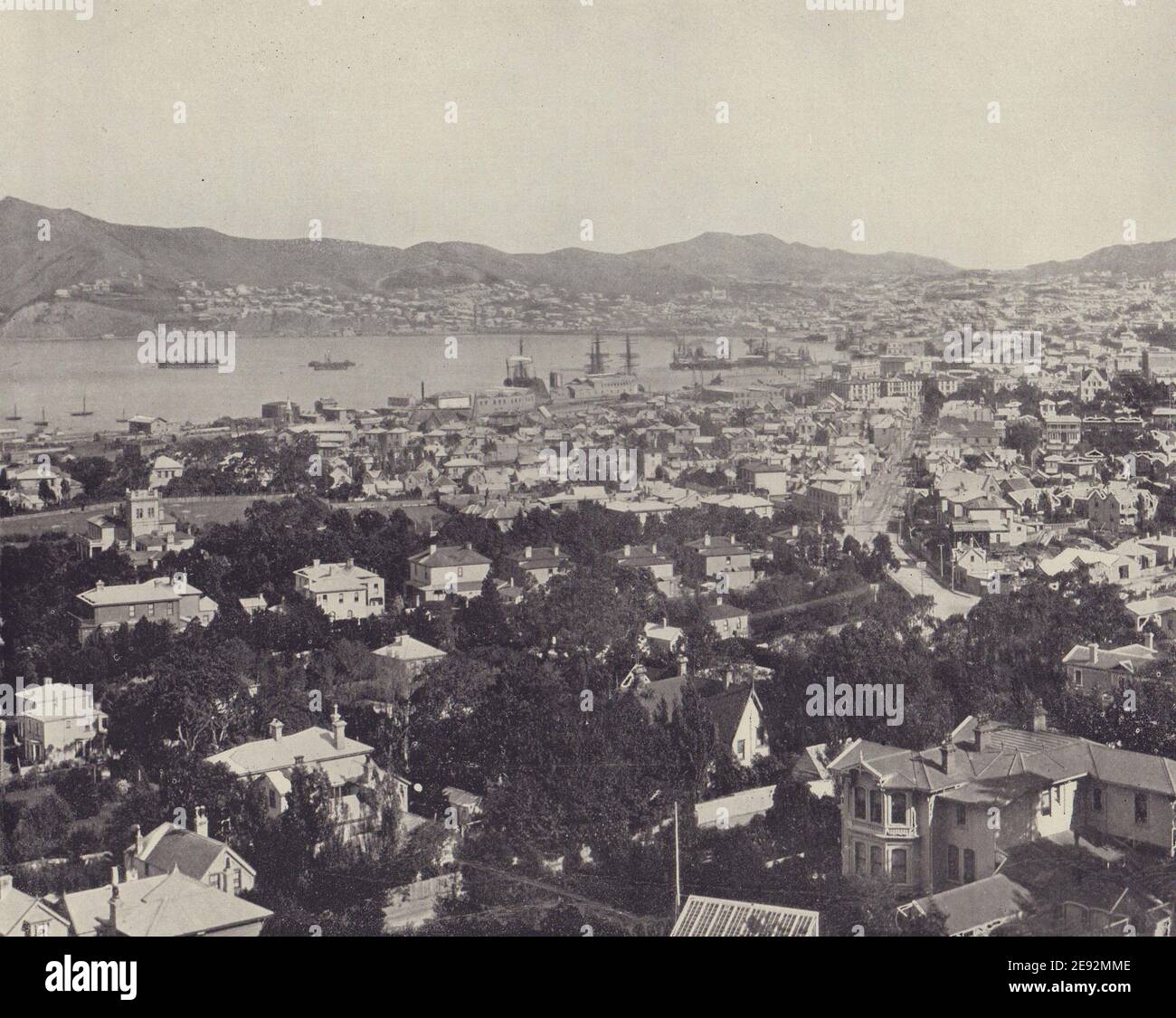 Wellington, Nouvelle-Zélande. STODDARD 1895 ancienne photo d'époque Banque D'Images