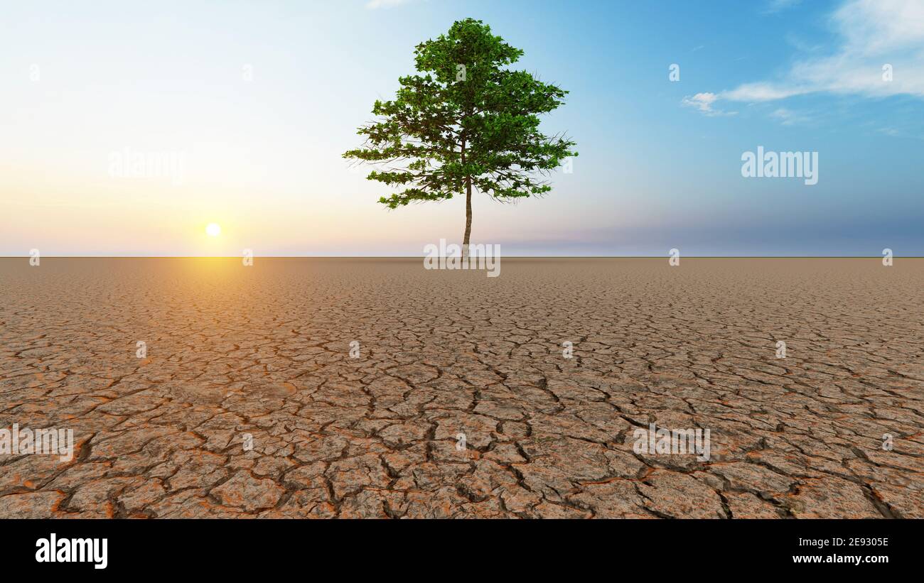 Concept ou paysage conceptuel du désert avec un arbre vert comme métaphore du réchauffement planétaire et du changement climatique. Banque D'Images