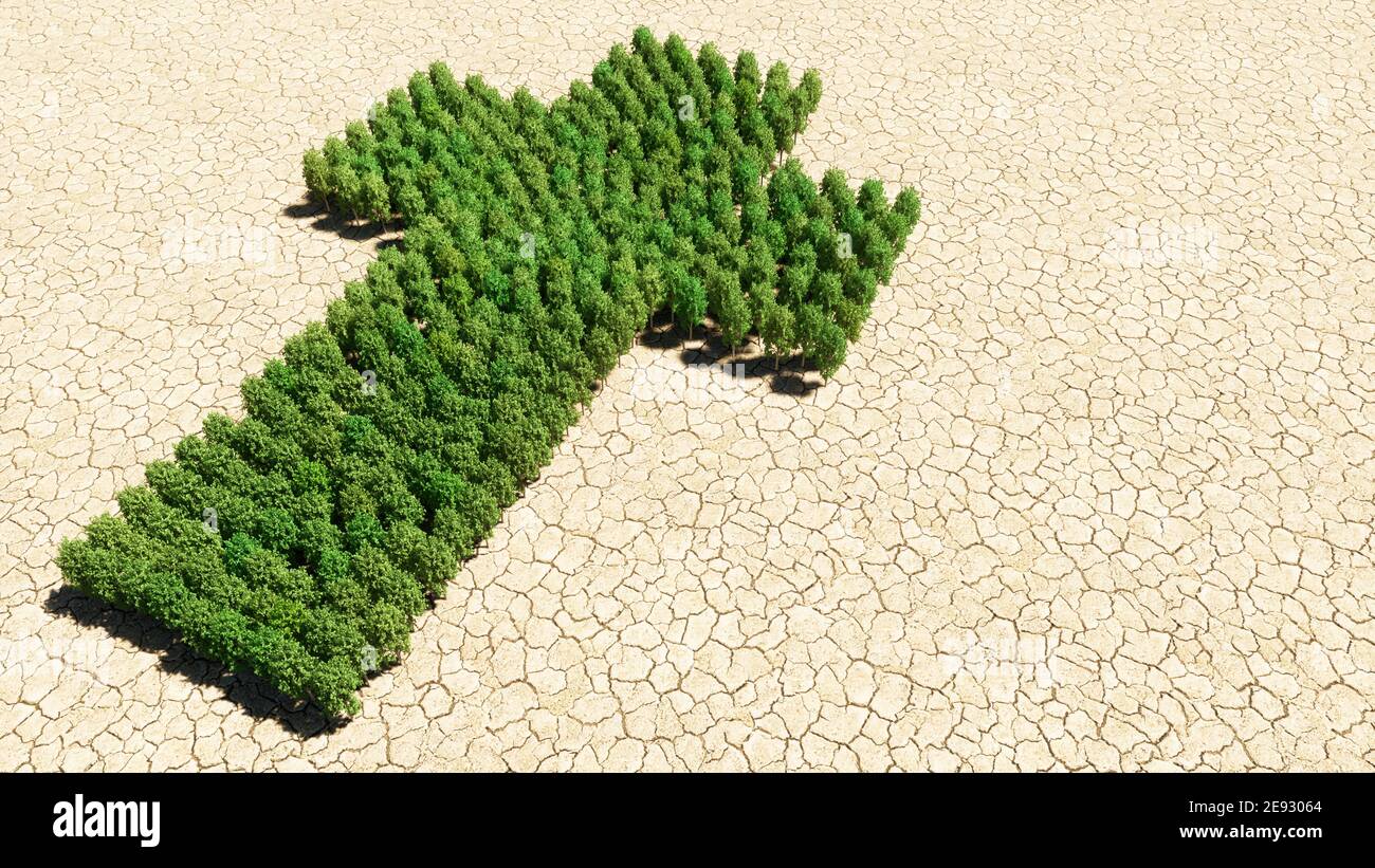 Concept ou groupe conceptuel d'arbre forestier vert sur sec fond de terre comme signe de la croix chrétienne religieuse Banque D'Images