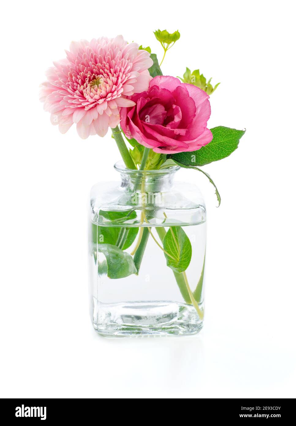 Fleurs dans un vase en verre sur fond blanc Banque D'Images