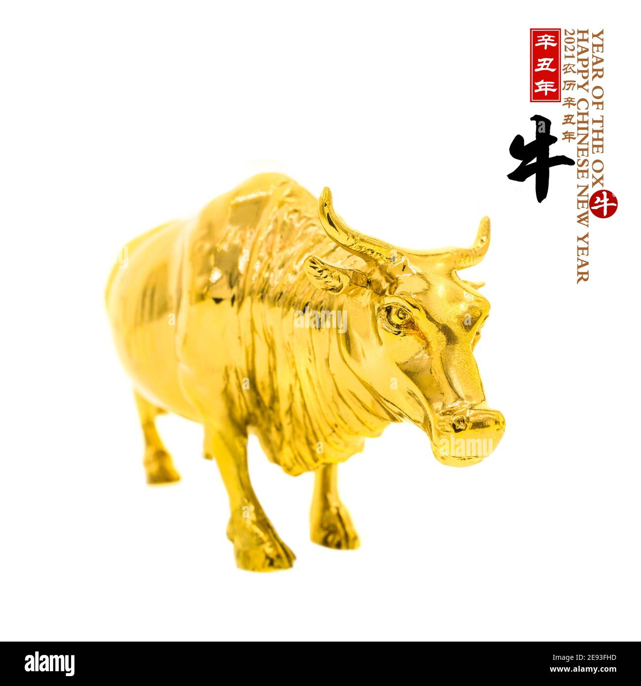 Tradition chinoise Golden ox statue, 2021 est année de l'ox, traduction des caractères chinois: 'Ox'.leftside chinois mot et sceau mean:Chinese calendrier Banque D'Images